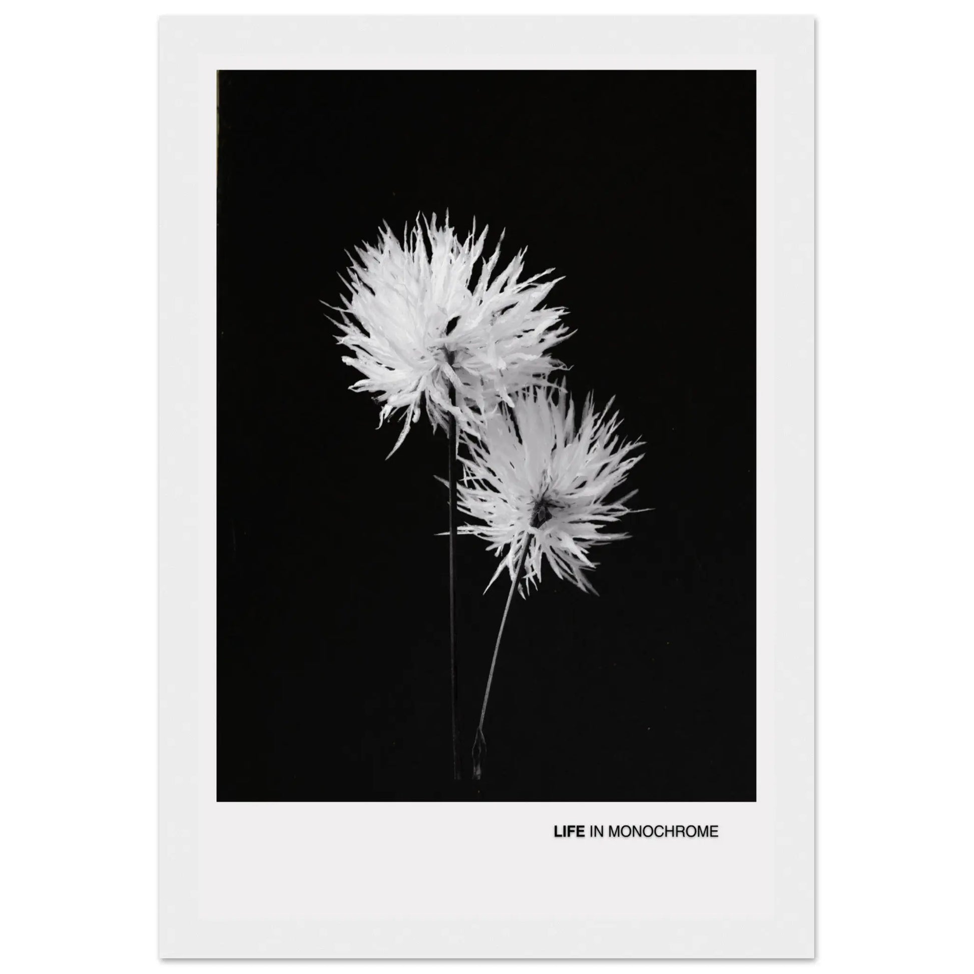 bc7fac81-a483-418c-97a3-899a93c61555