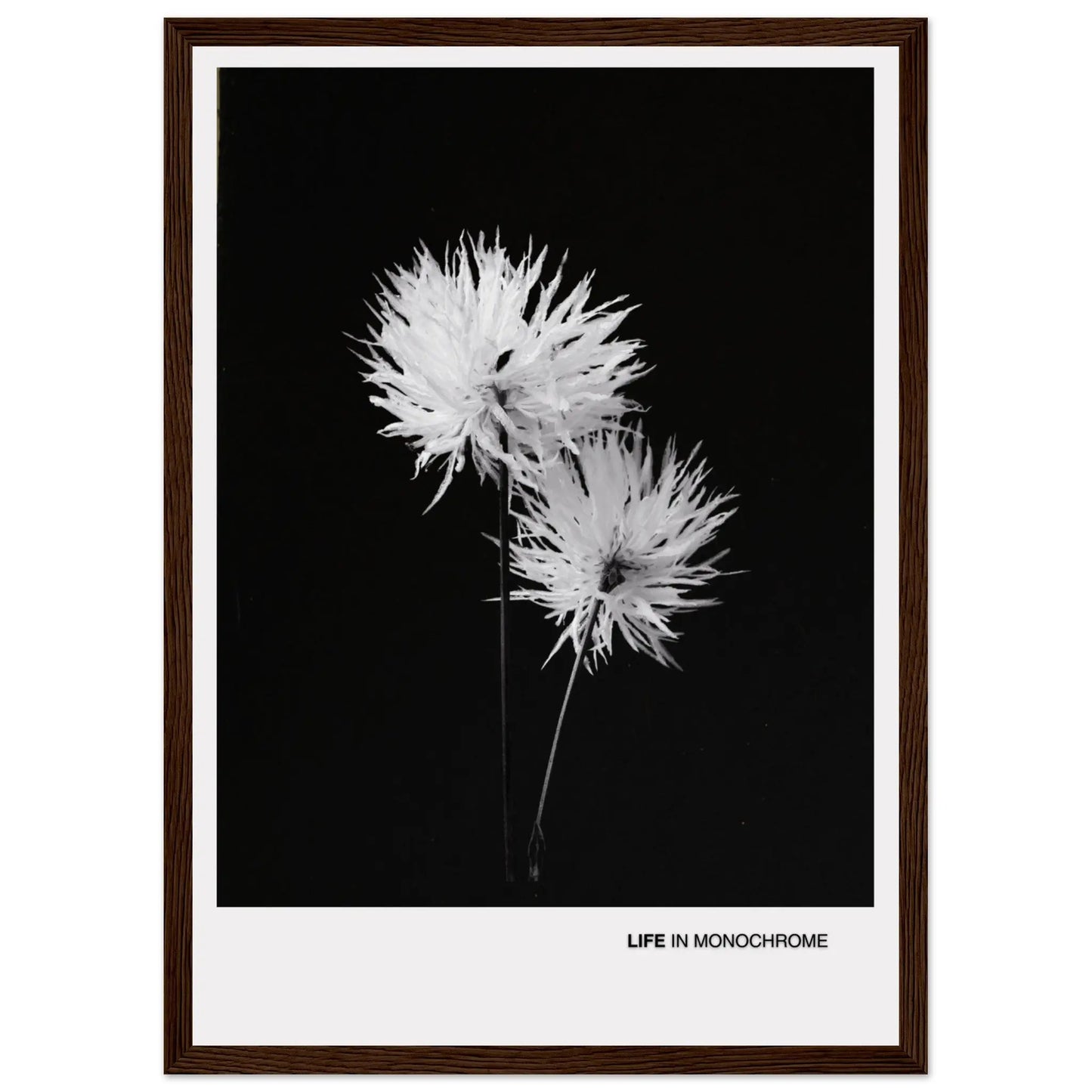 2230713a-6cf4-4728-8cfa-f2656d32452c