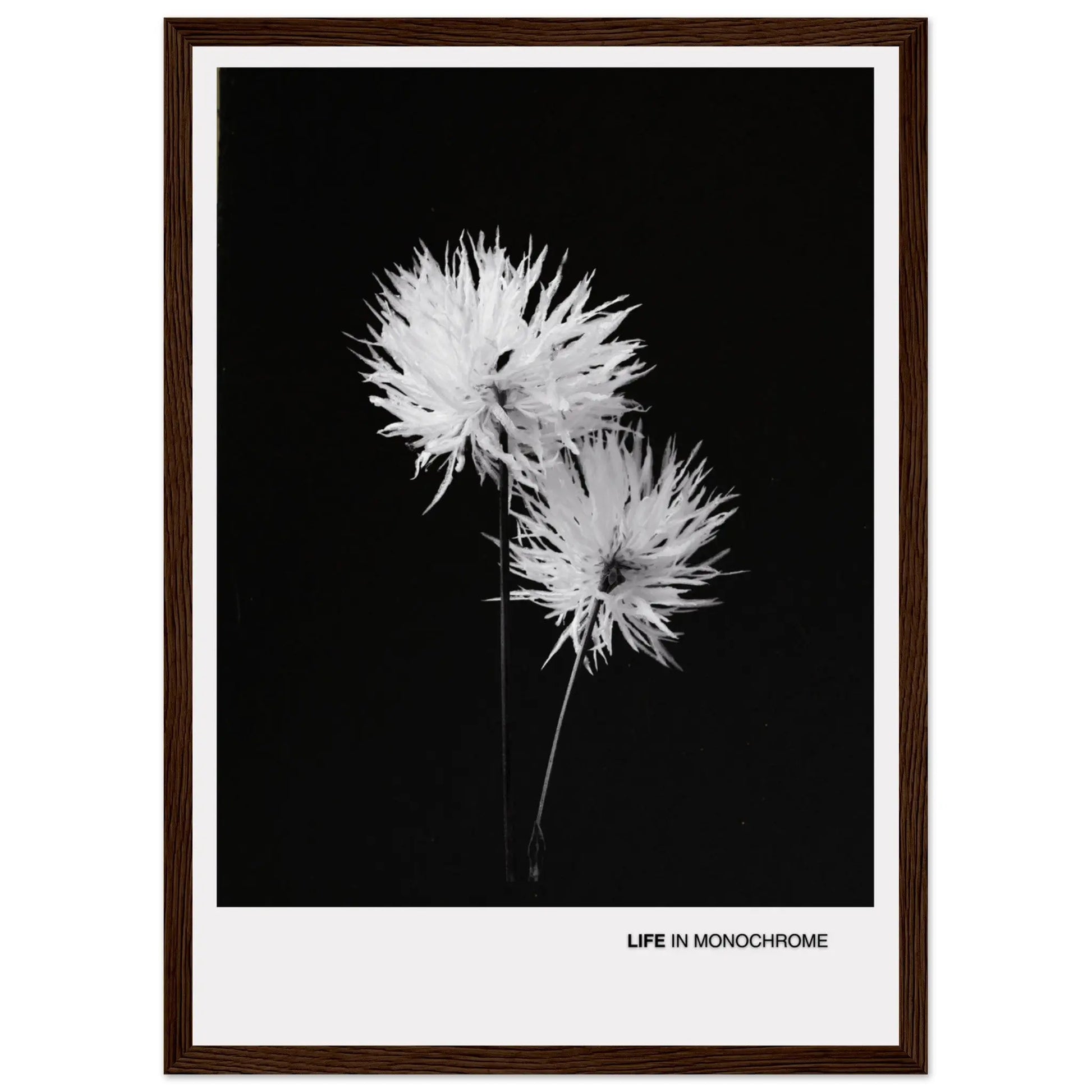 2230713a-6cf4-4728-8cfa-f2656d32452c