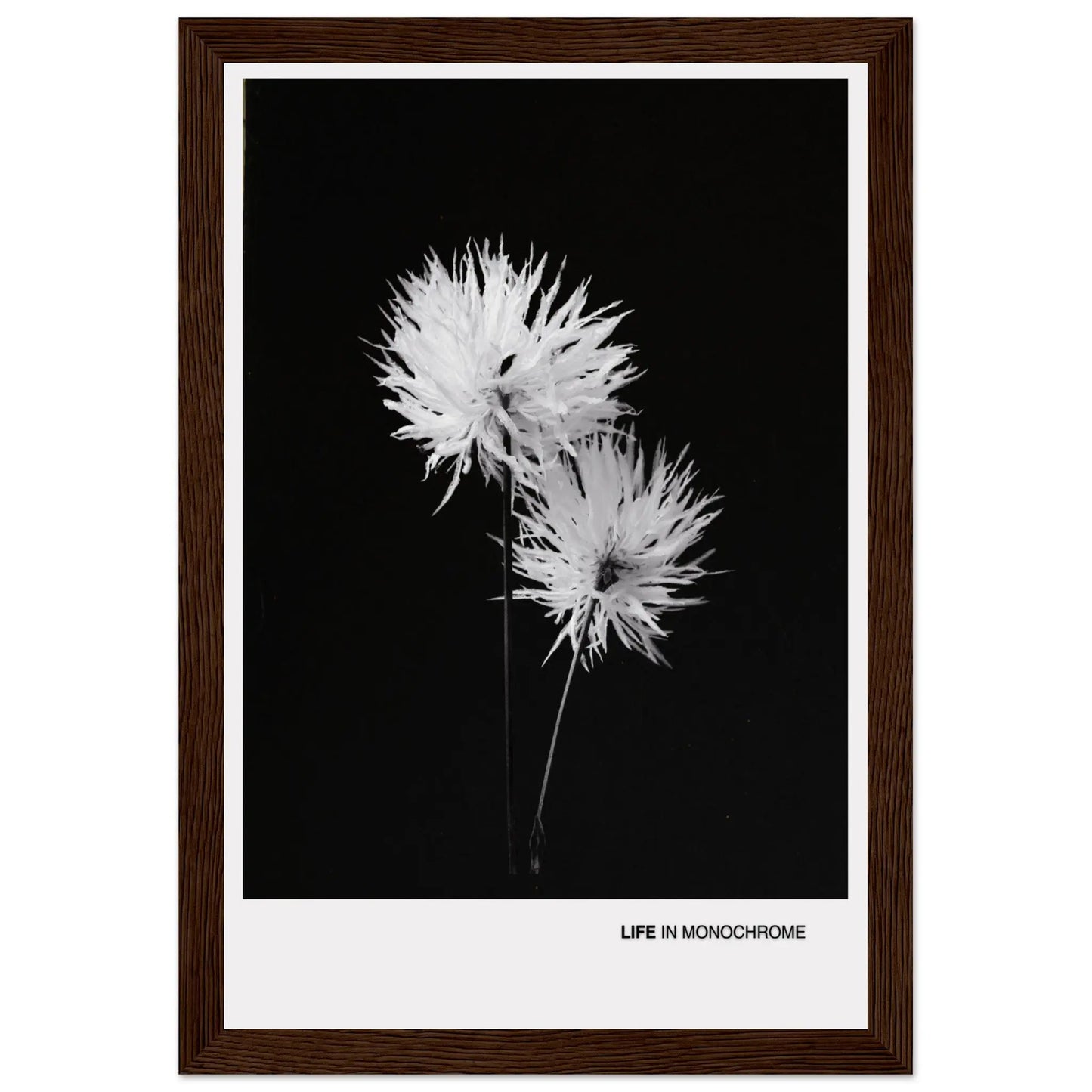 b9f09c9a-90fe-4dd3-bfb1-e7ea132badff