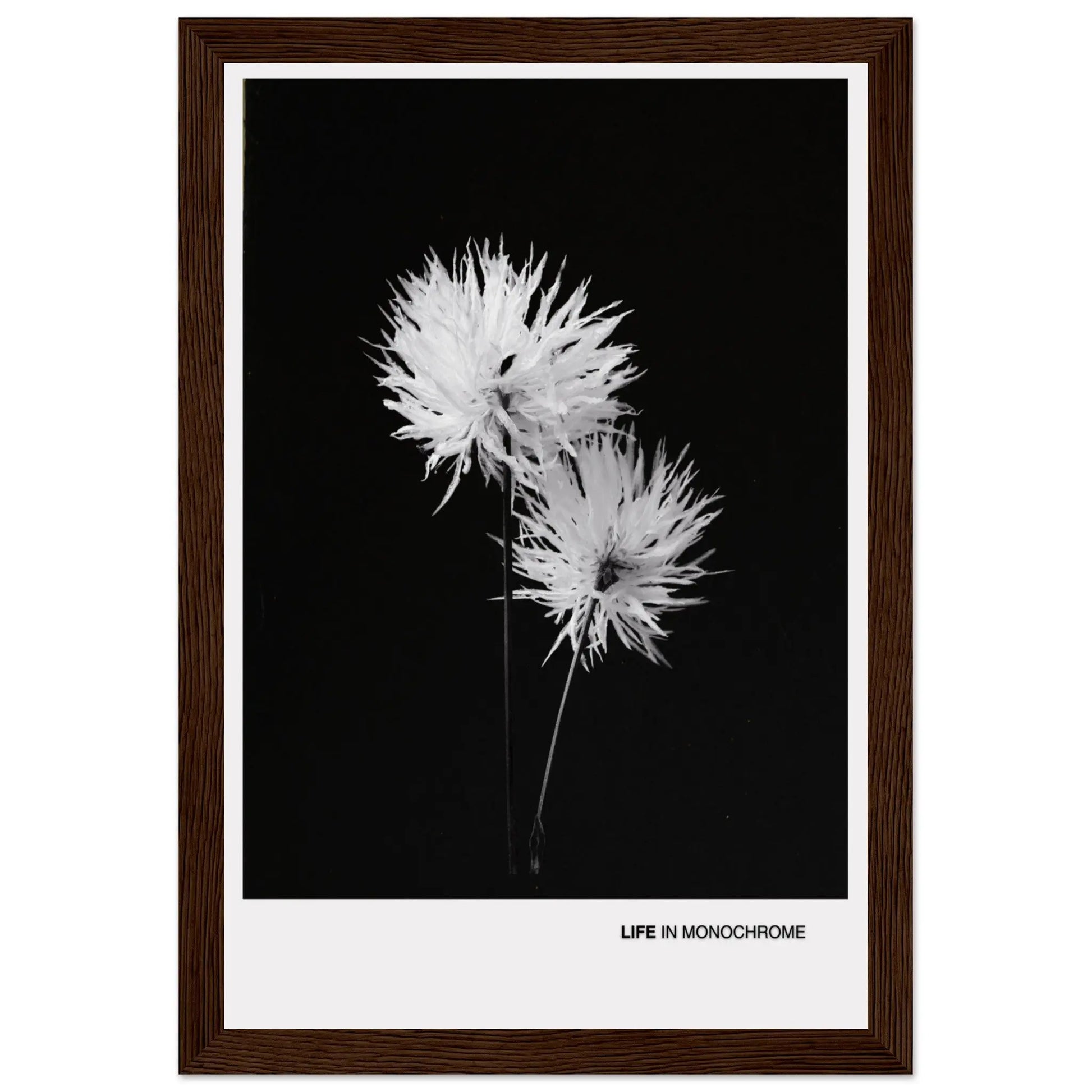 b9f09c9a-90fe-4dd3-bfb1-e7ea132badff