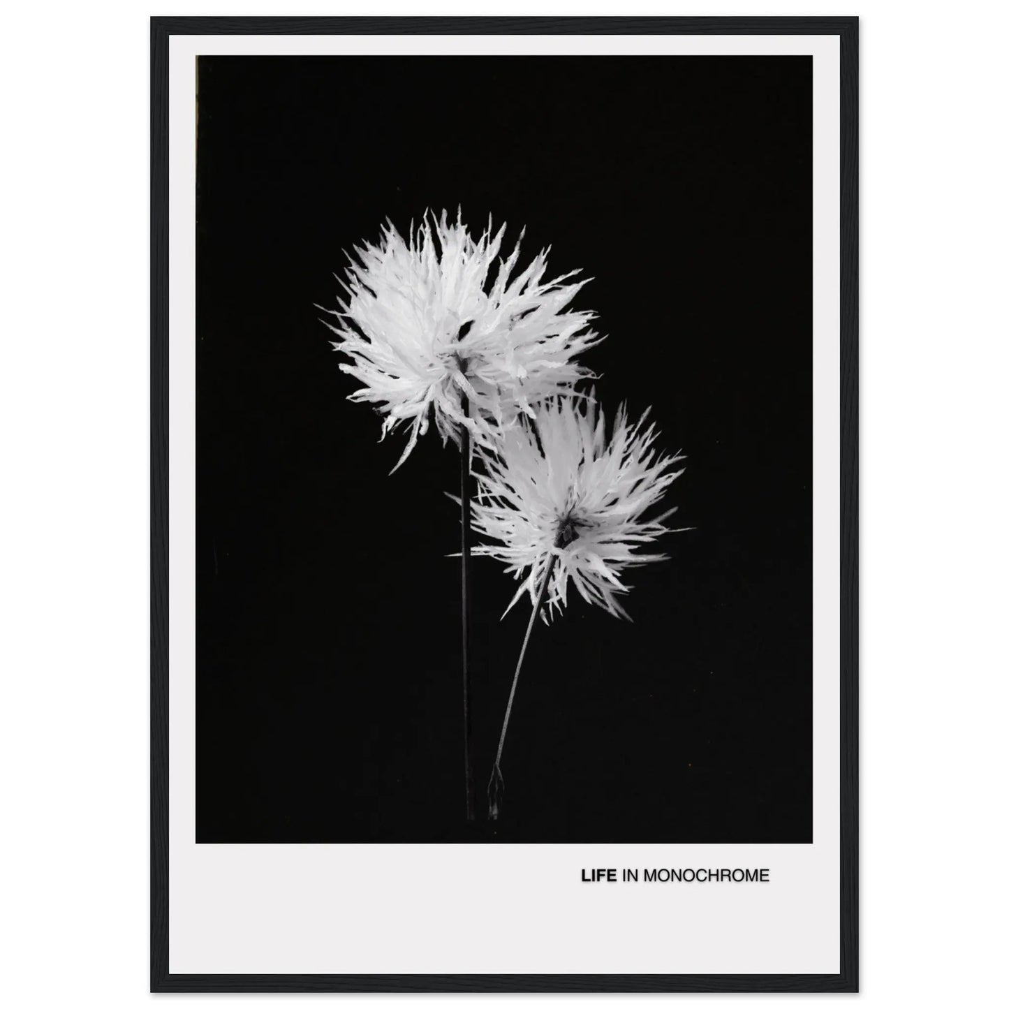 5008a06e-800a-4e1f-9fc2-d81ccee2e19e