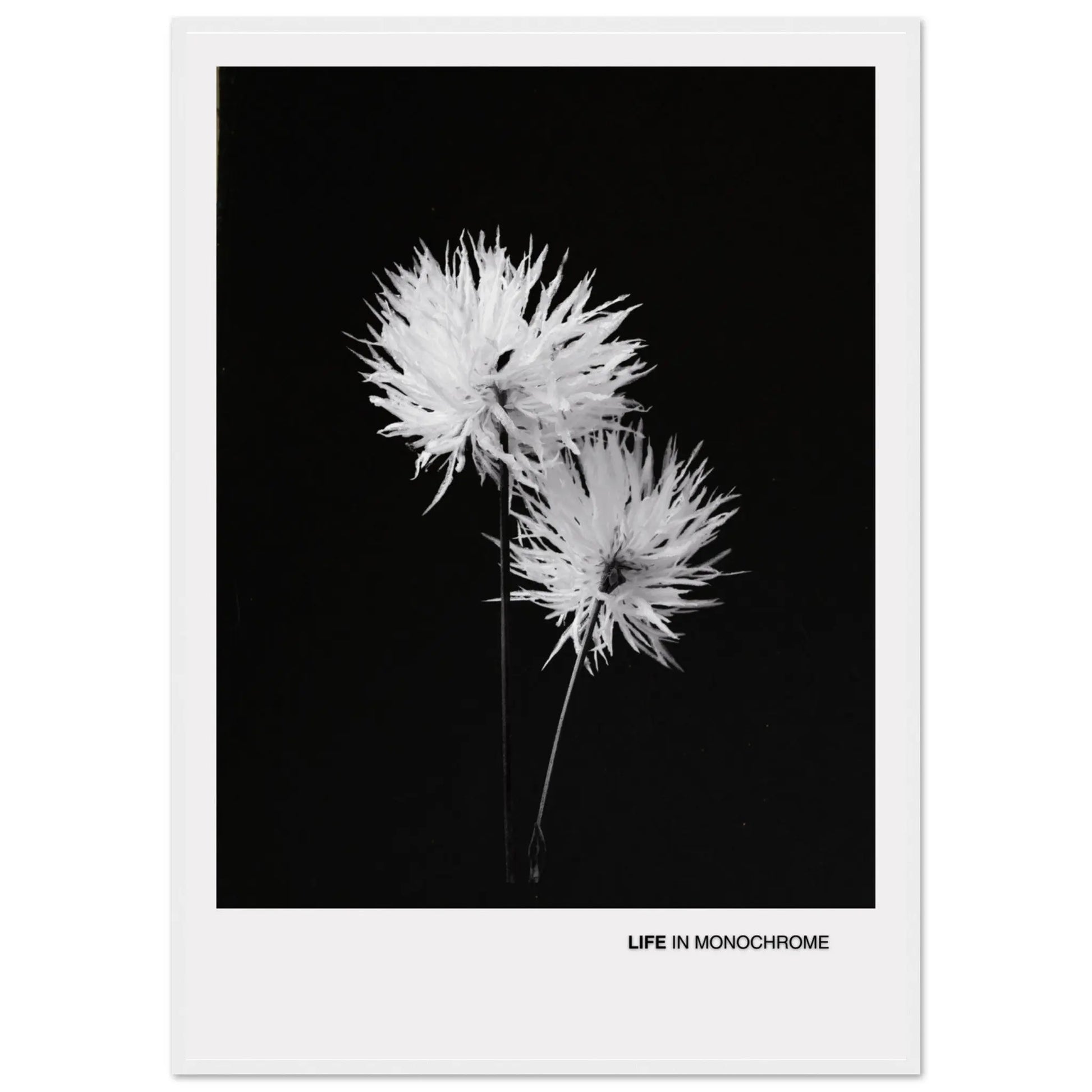 6dce10fa-2d82-4cfb-95da-8aa44508e0de