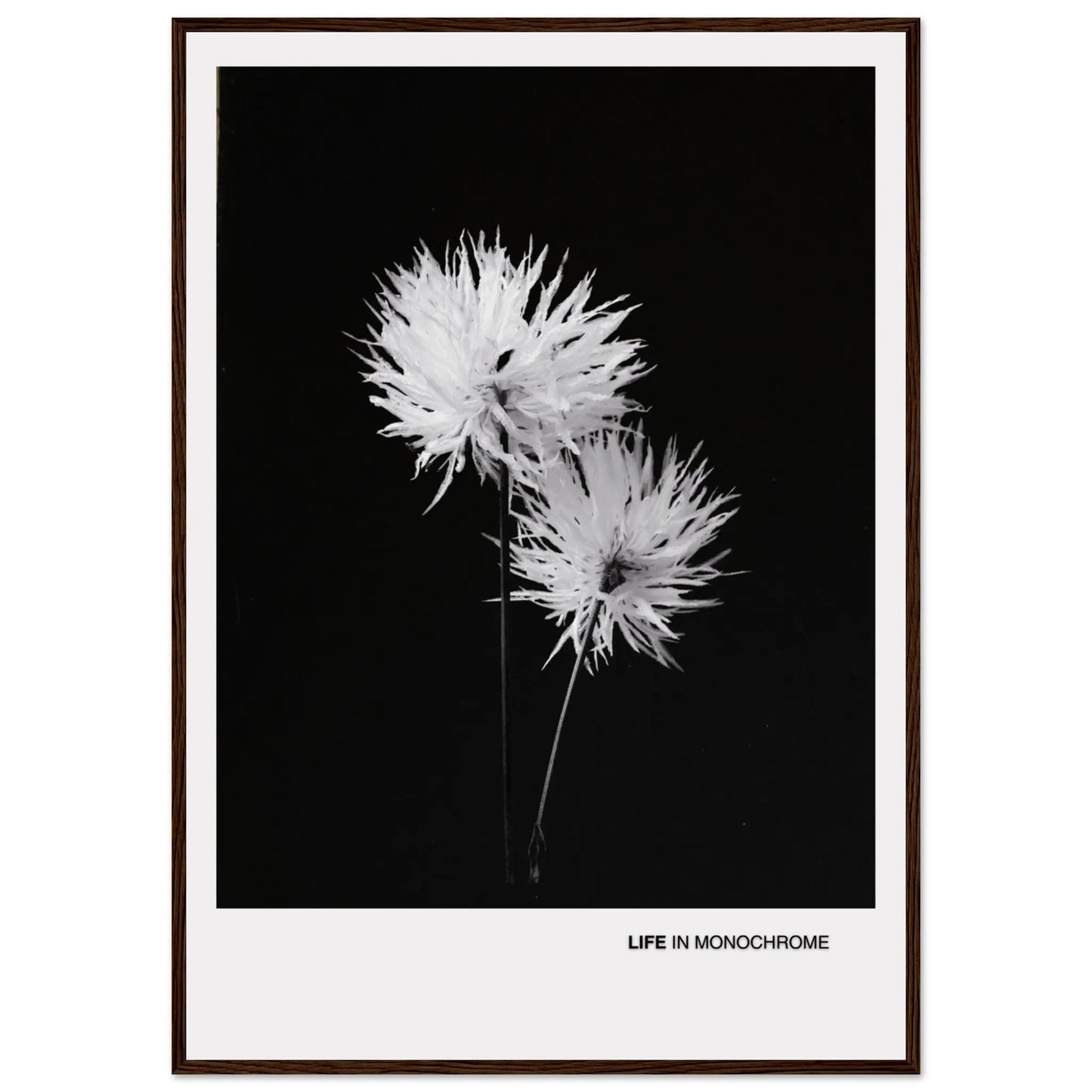 d9d335c8-9b1c-4b07-8502-73166ec66a41