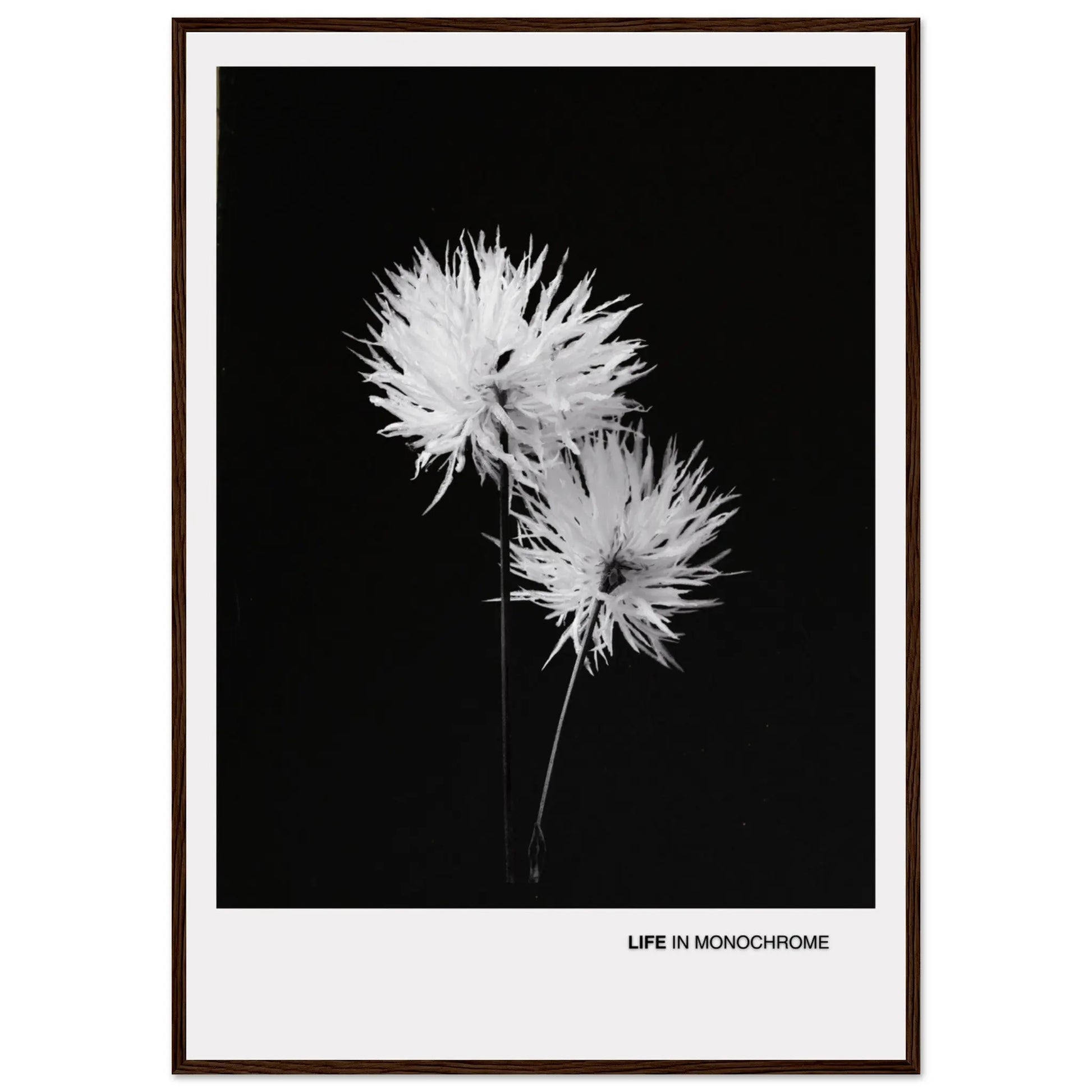 d9d335c8-9b1c-4b07-8502-73166ec66a41