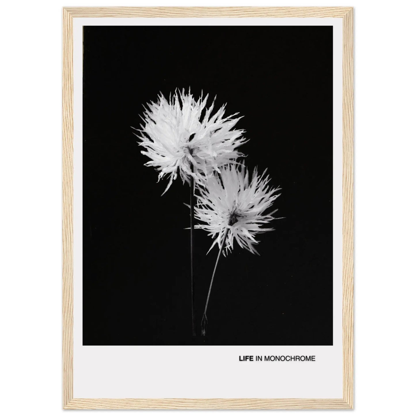 eb20666f-f861-4bf2-b0c6-8abe229cc5f4