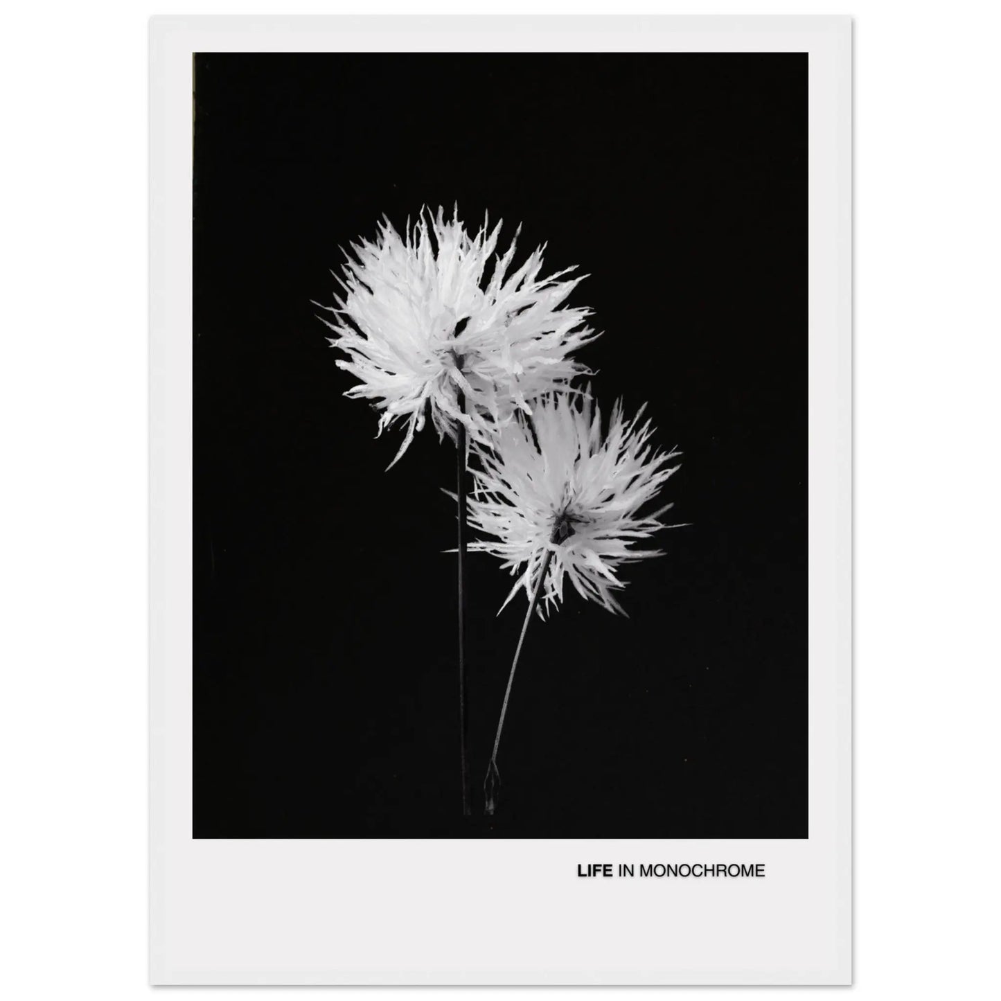 29c3fcbf-a269-4432-98cc-210fb24ee415