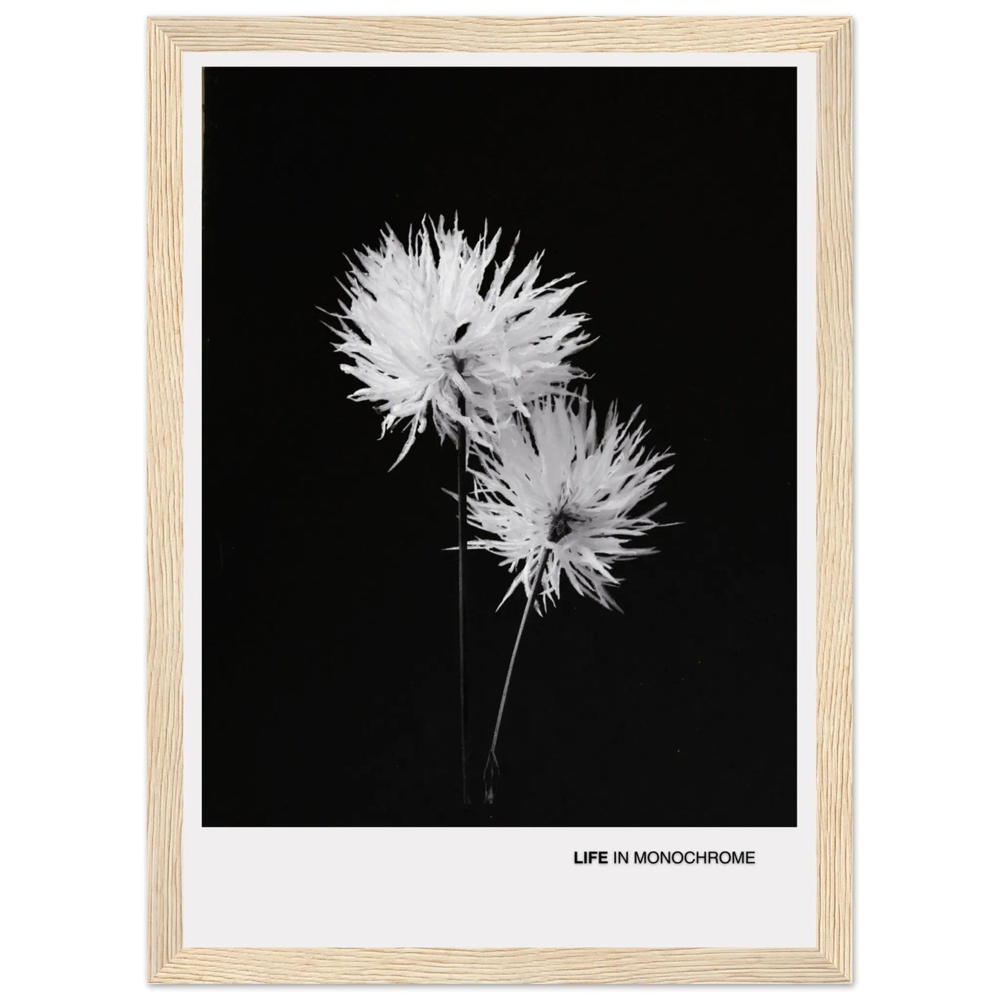 711b904a-9e92-4d42-8eac-6882e6b044ca