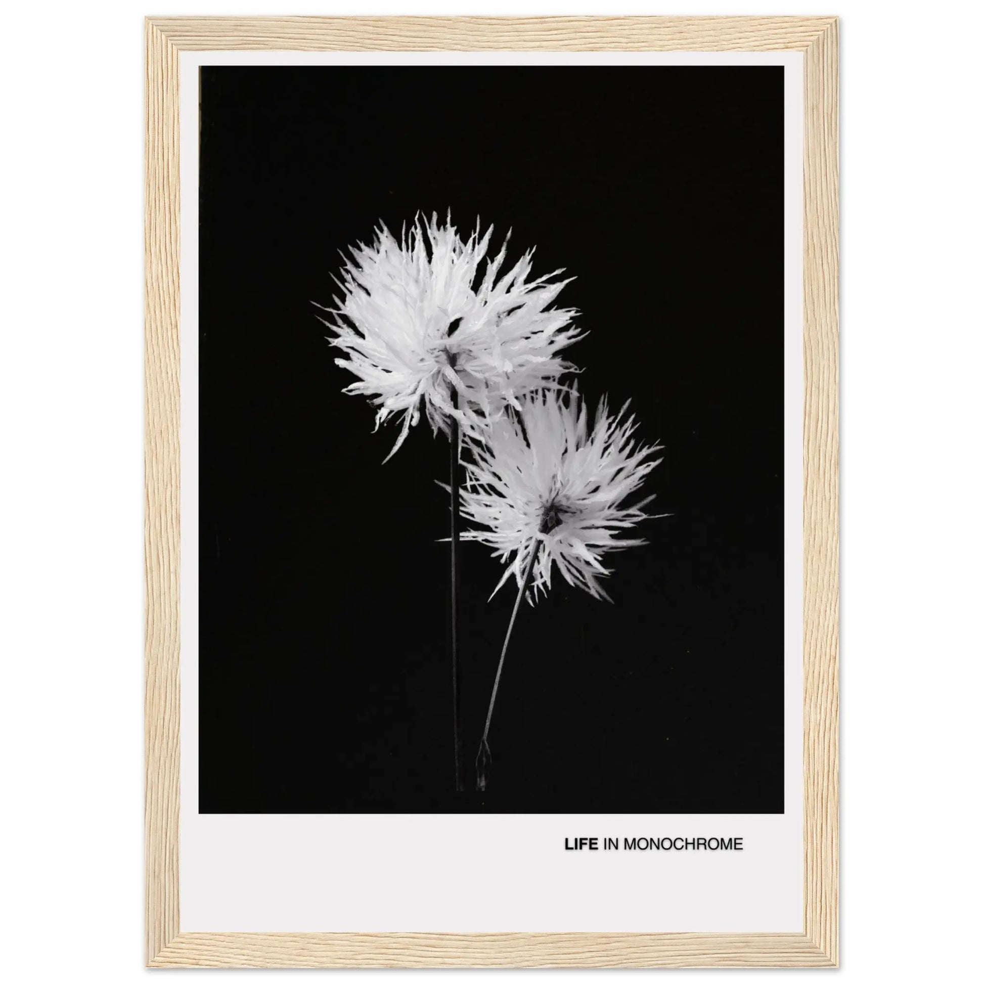 711b904a-9e92-4d42-8eac-6882e6b044ca