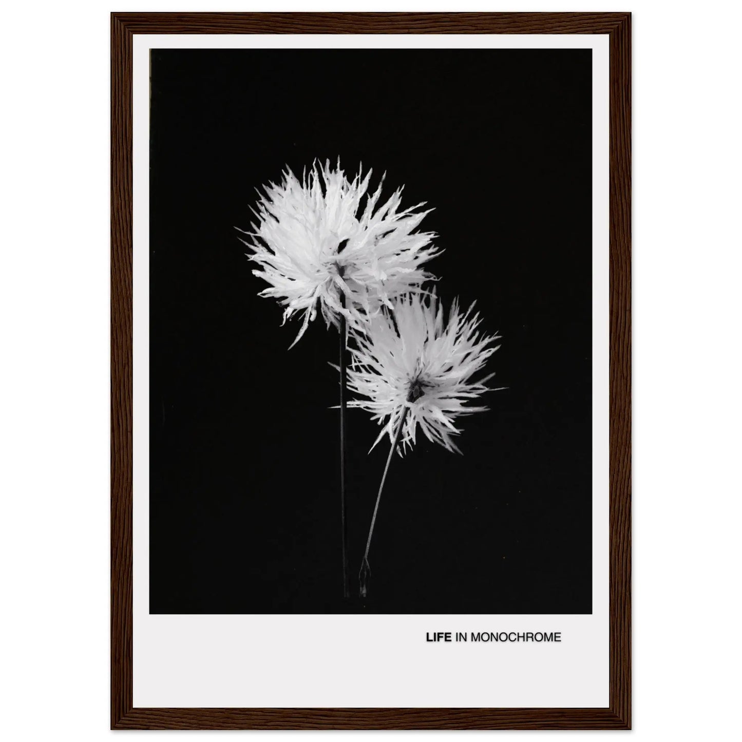 283a9b38-cf46-4c57-86ec-a4c9123bbe61