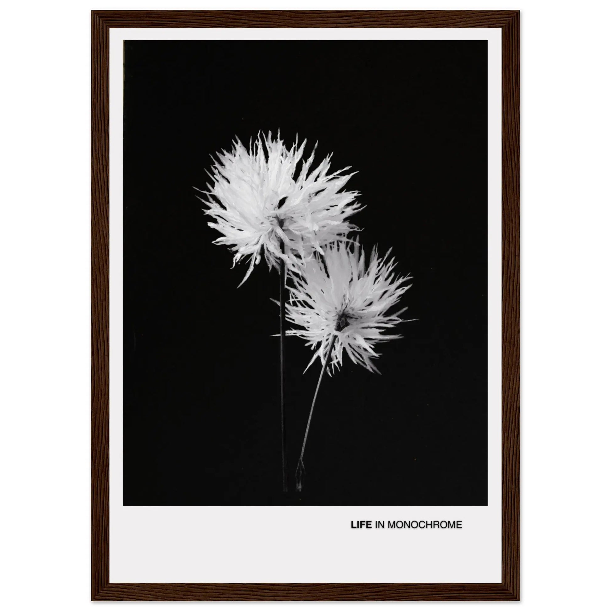 283a9b38-cf46-4c57-86ec-a4c9123bbe61