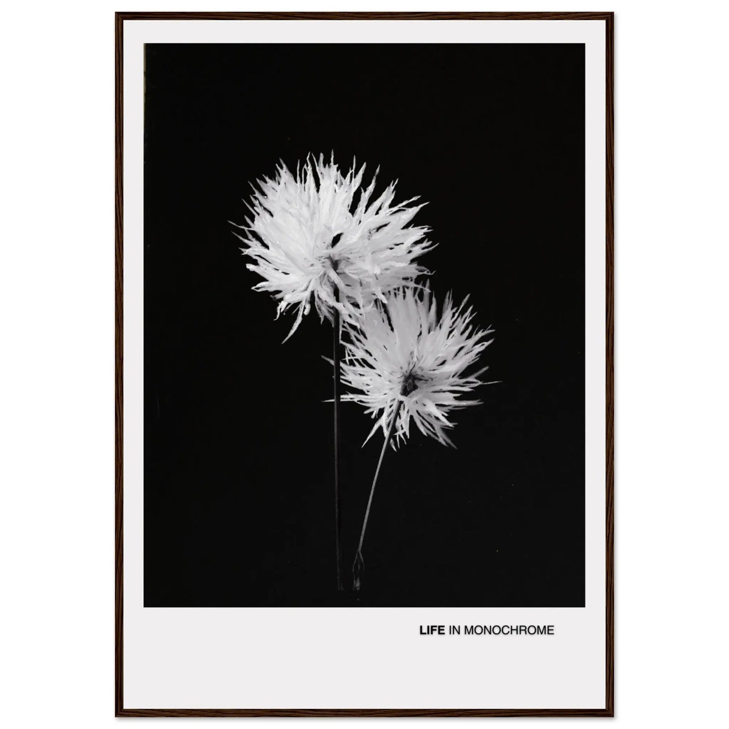 7f1638ef-a1b1-4a2a-bbfa-2c5a7078ac7a