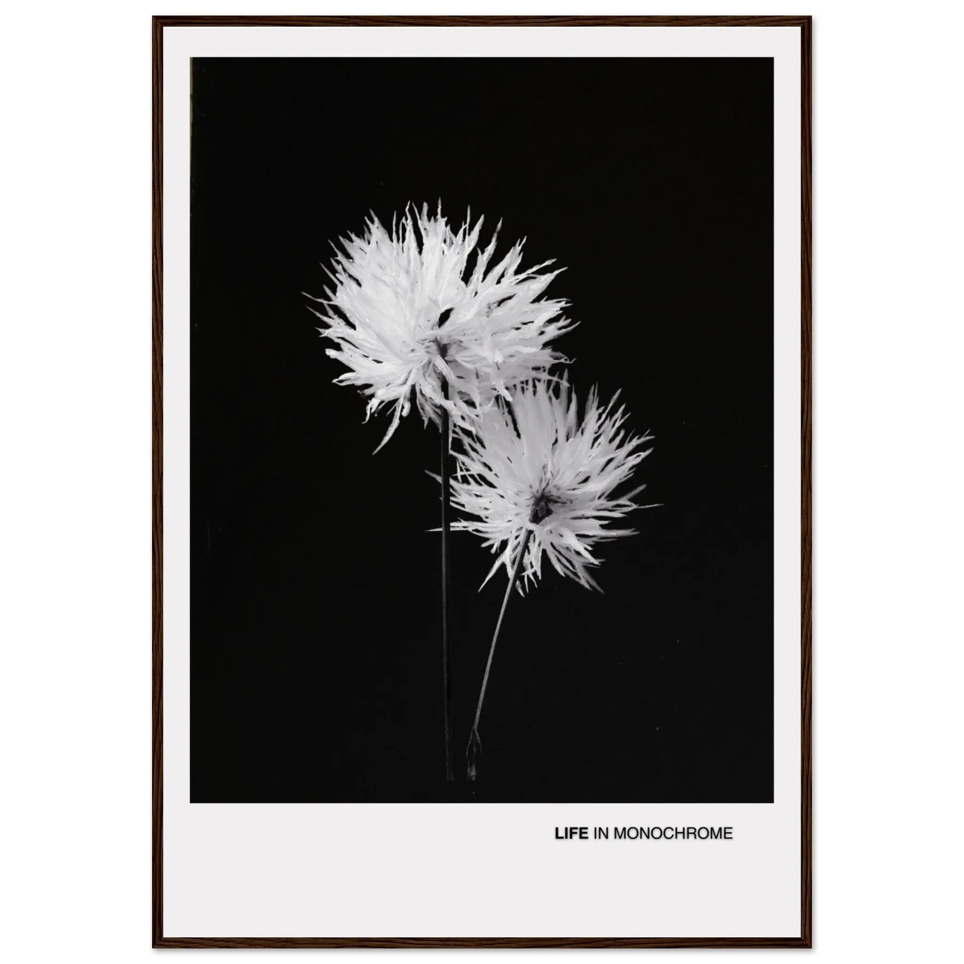 7f1638ef-a1b1-4a2a-bbfa-2c5a7078ac7a