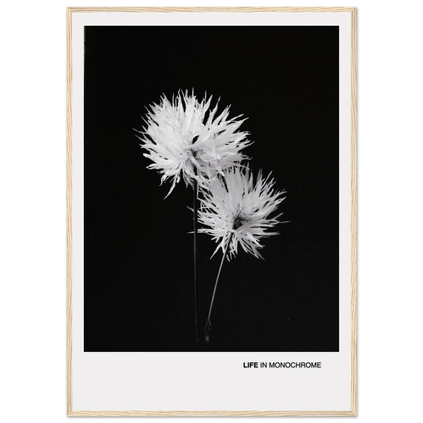 93489c0a-14ad-4e9f-91bf-87b8c6998d39