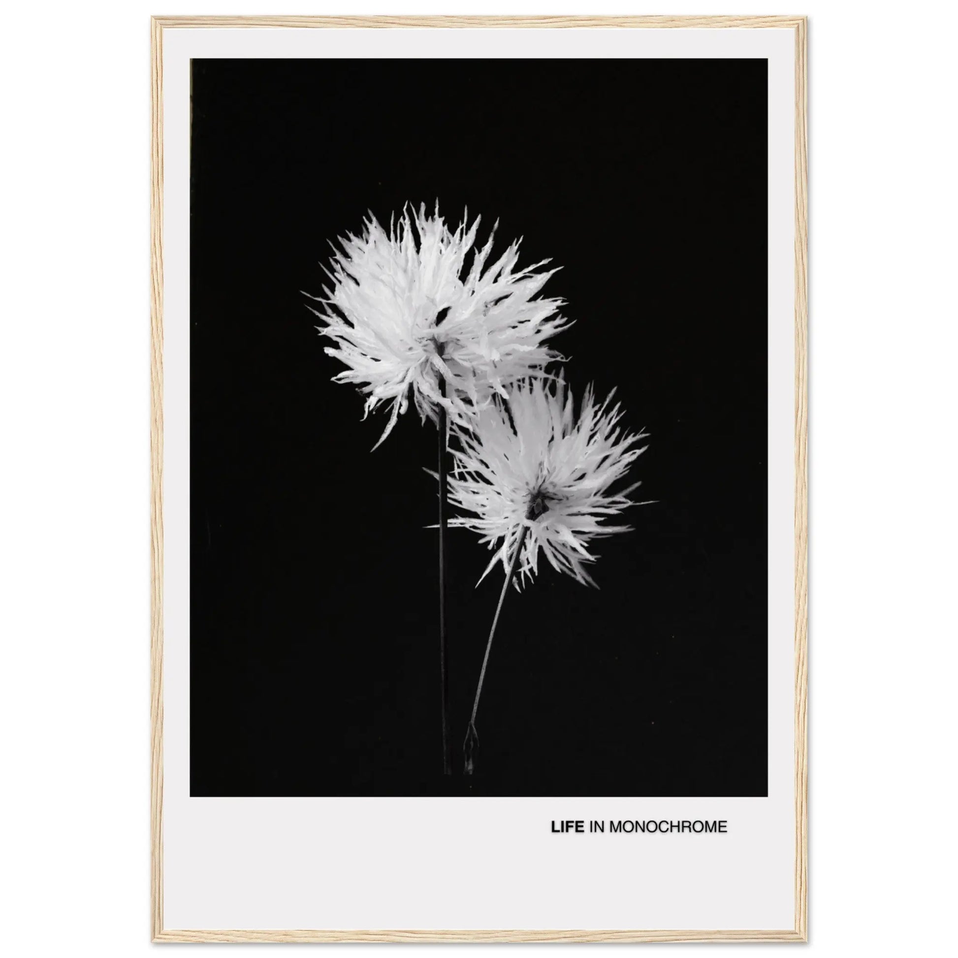 93489c0a-14ad-4e9f-91bf-87b8c6998d39