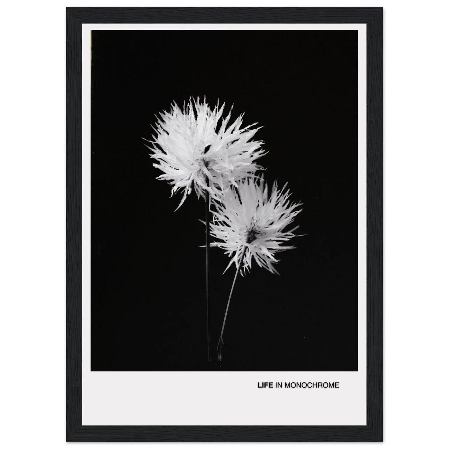 90c7cbde-4b12-458b-845f-a81d1ef38dde