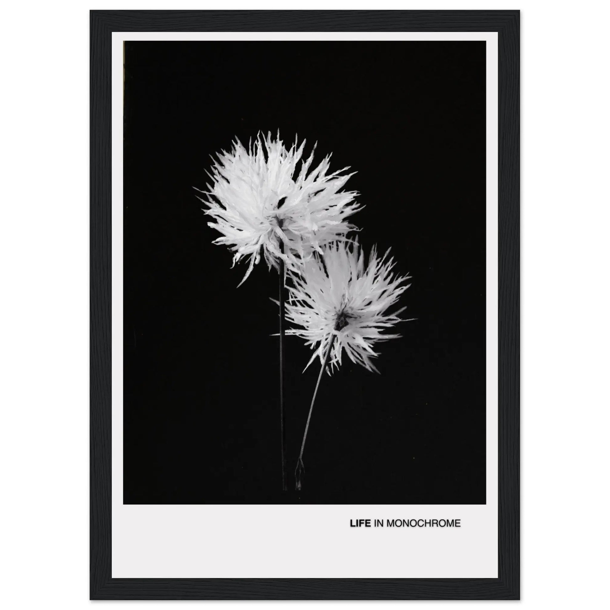 90c7cbde-4b12-458b-845f-a81d1ef38dde