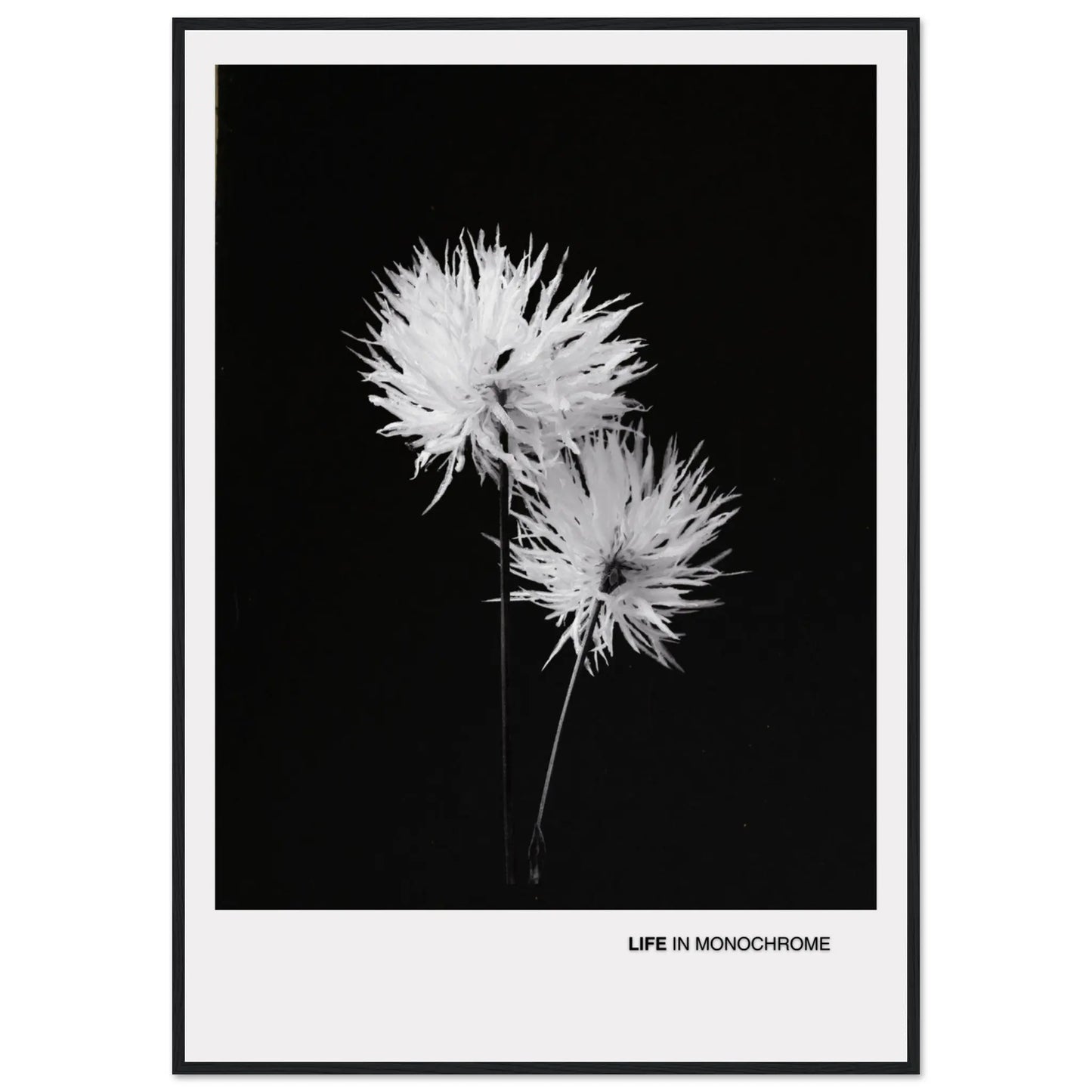 4d9fc98c-7268-4879-a258-e09ec914f083