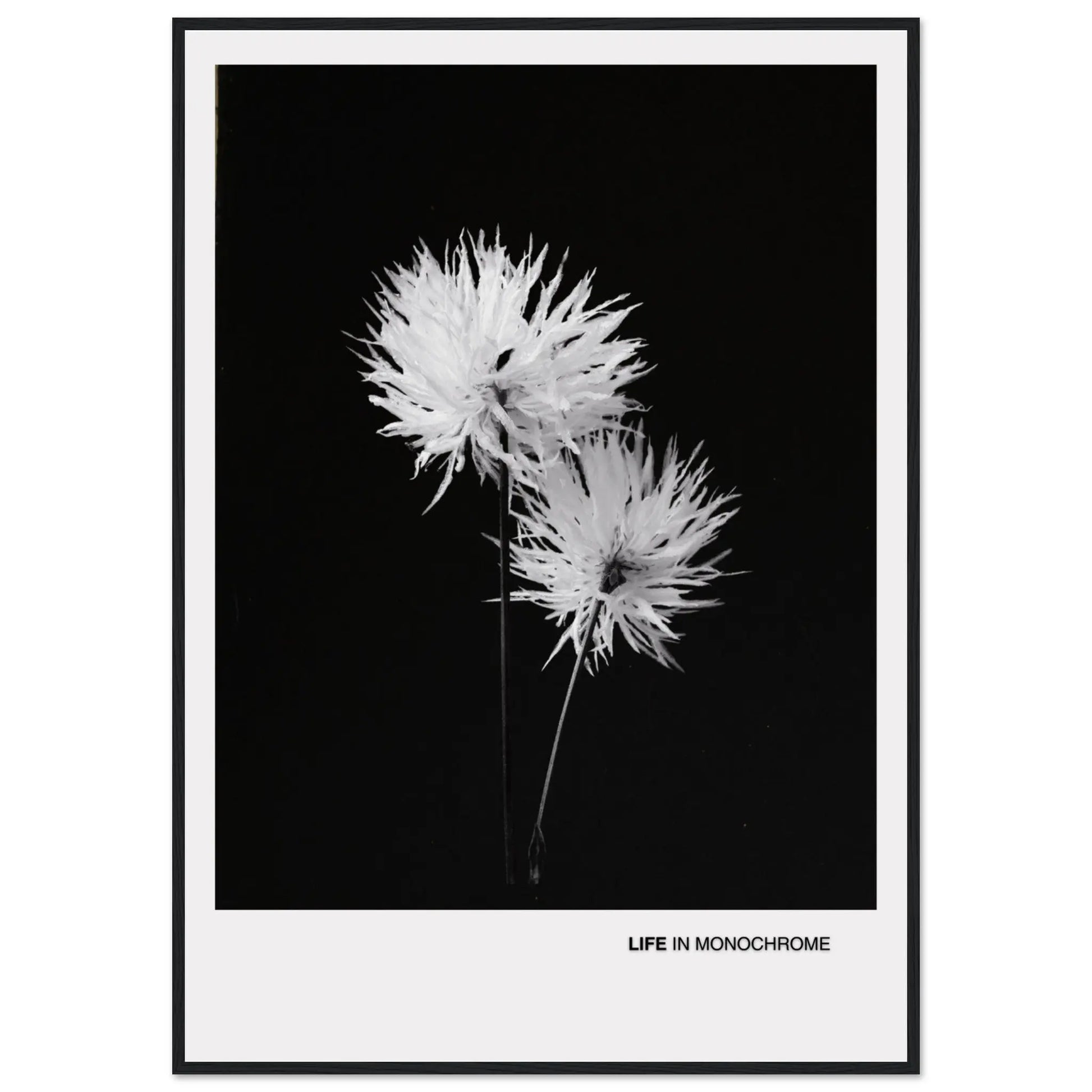 4d9fc98c-7268-4879-a258-e09ec914f083