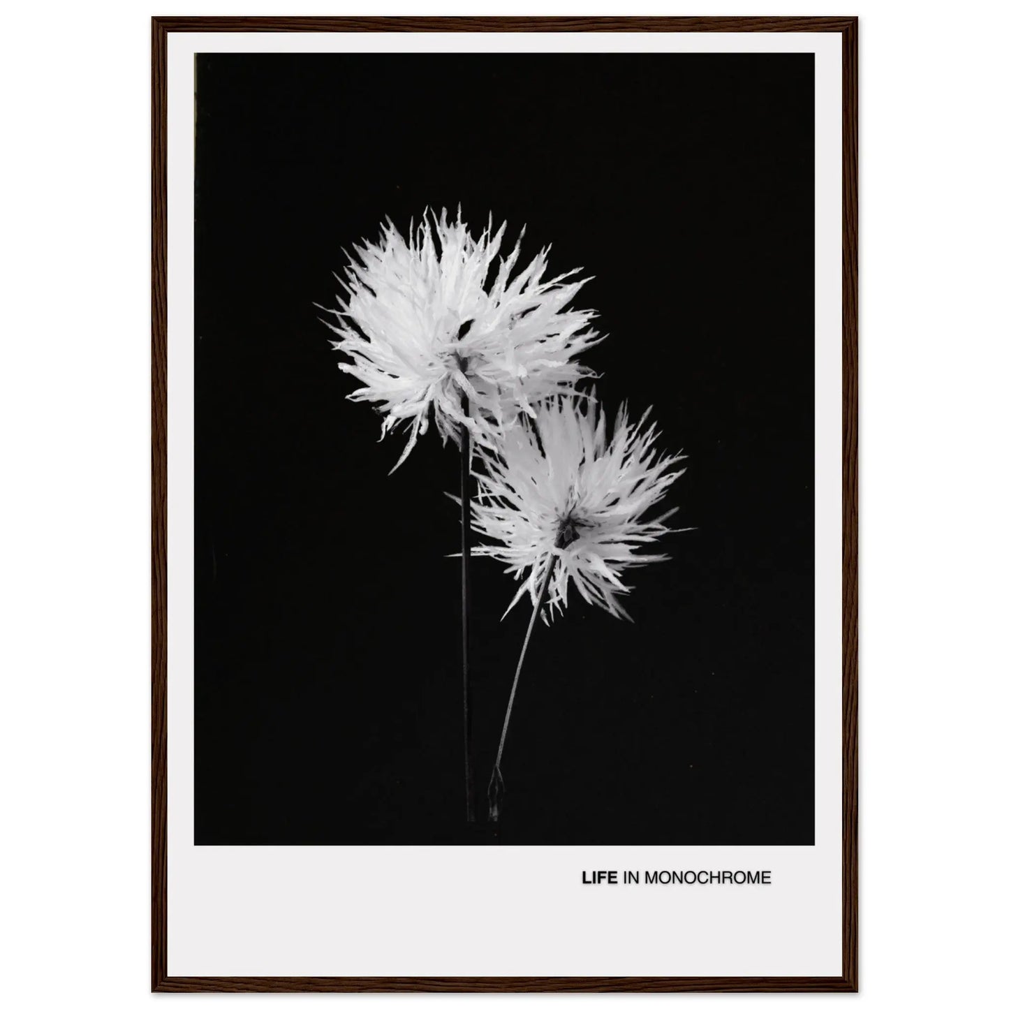 d26dfb8f-5561-45f4-84ad-d14d4546c218