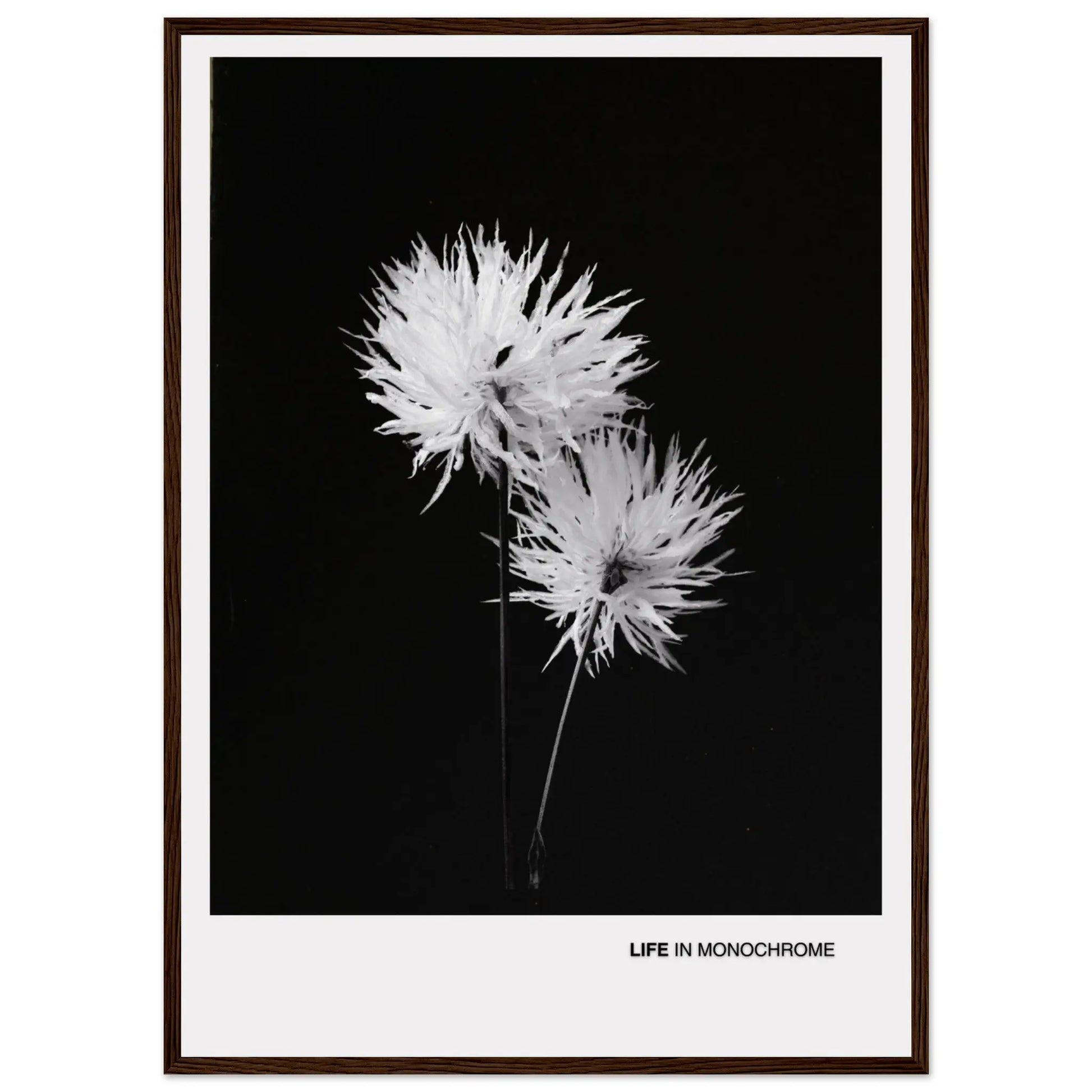 d26dfb8f-5561-45f4-84ad-d14d4546c218