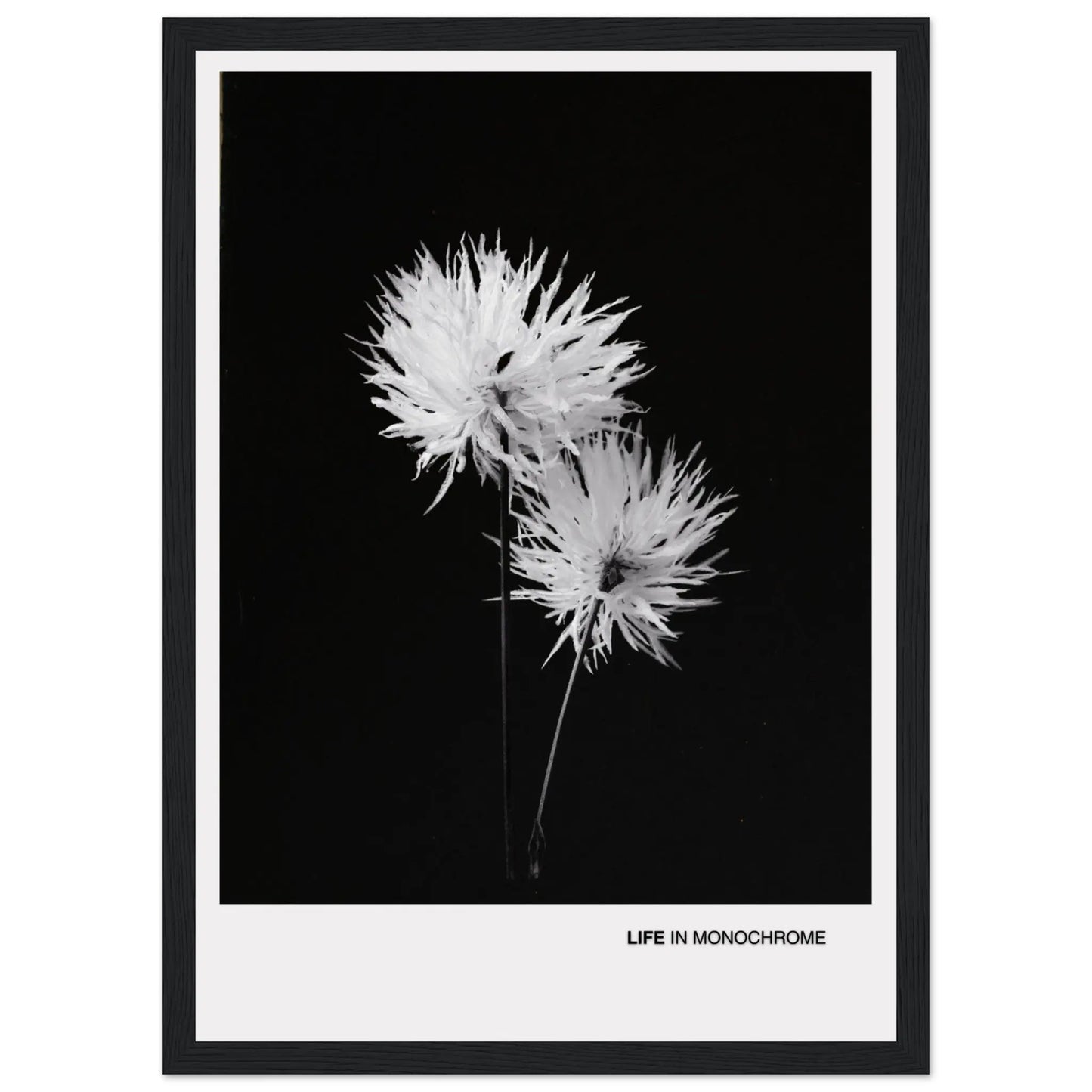 0938ba9f-5425-4279-9f50-ab426bf282ef