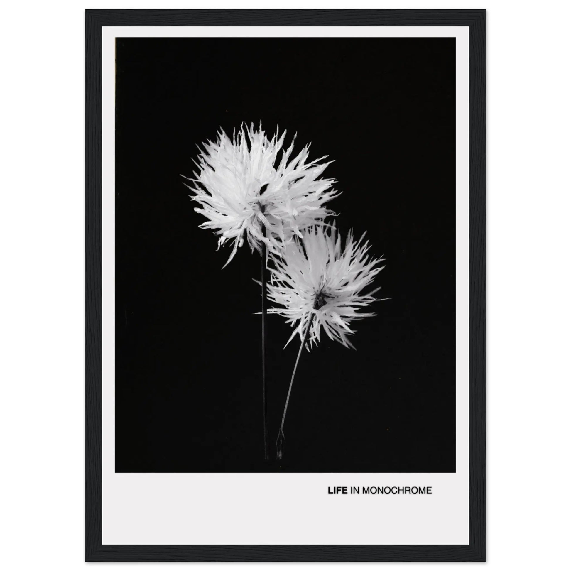 0938ba9f-5425-4279-9f50-ab426bf282ef