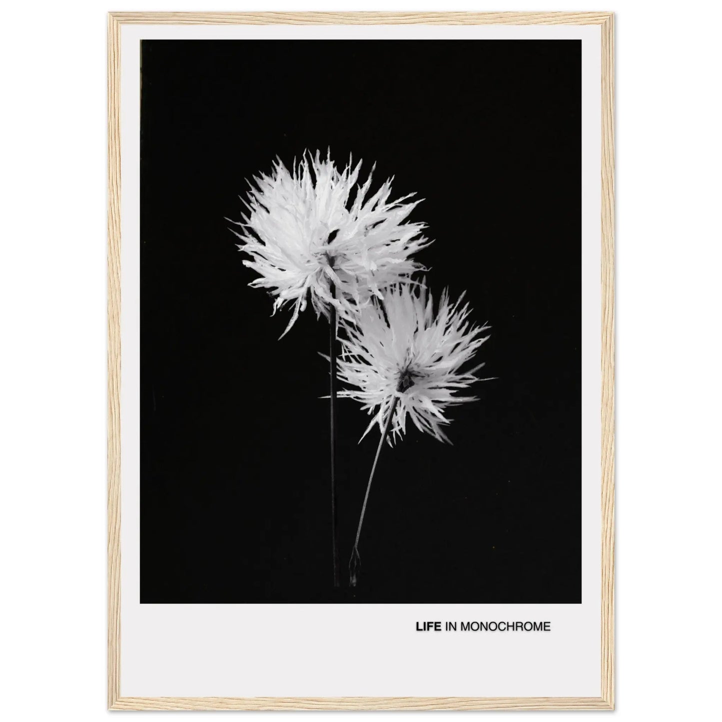 4688faa5-7c69-47b0-998c-44a67b69027c