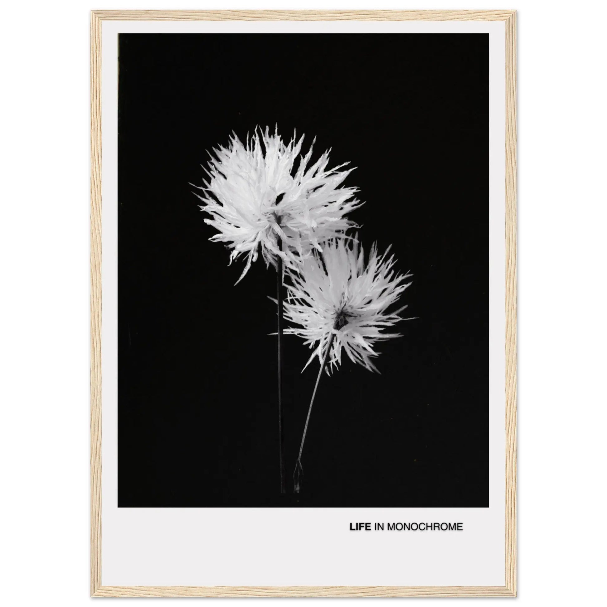 4688faa5-7c69-47b0-998c-44a67b69027c