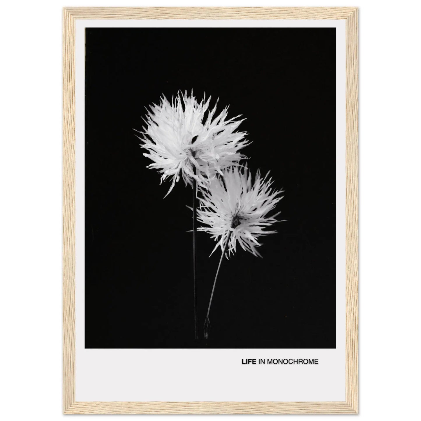 9758e939-6c5f-4a5a-9267-d647c7eff1fb