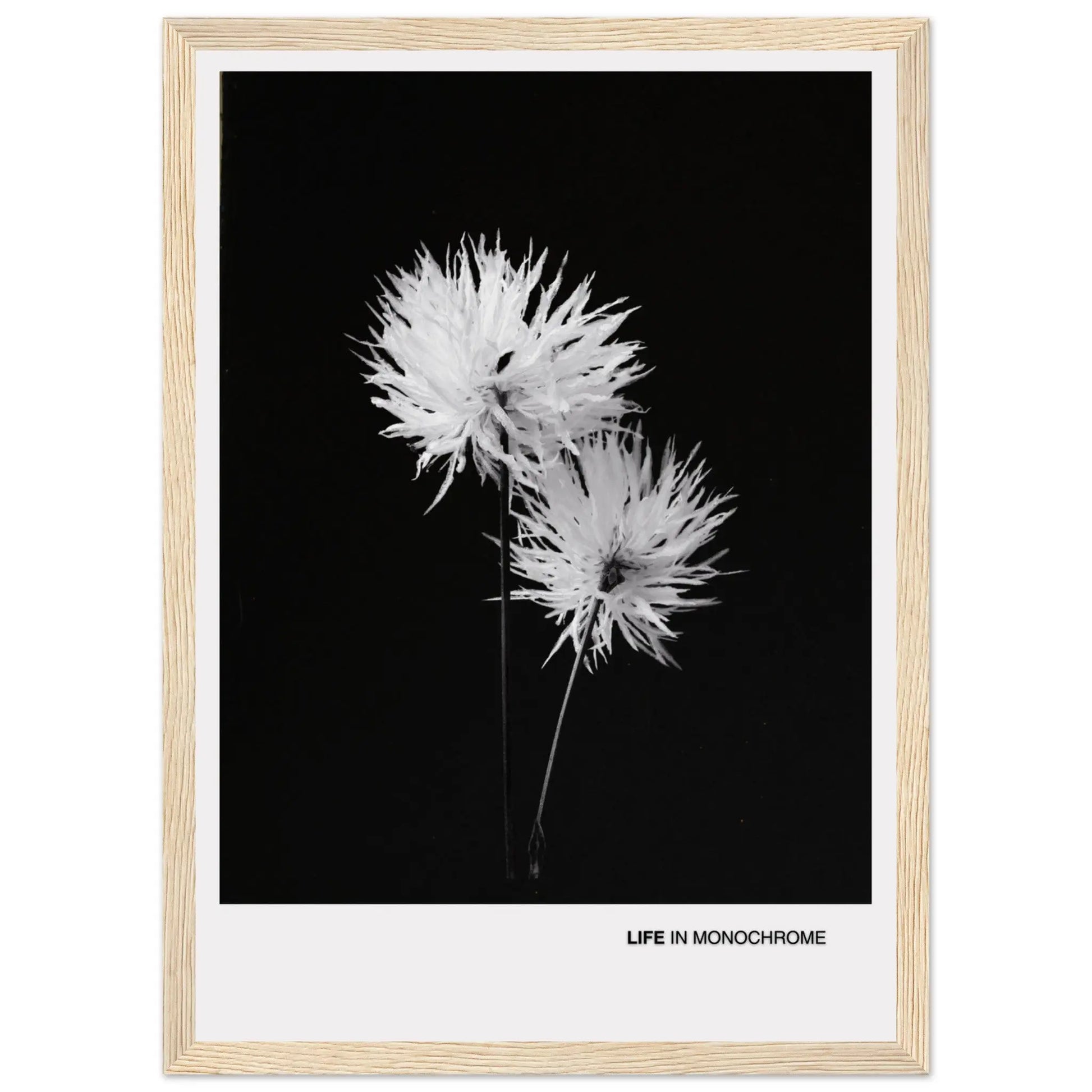 9758e939-6c5f-4a5a-9267-d647c7eff1fb