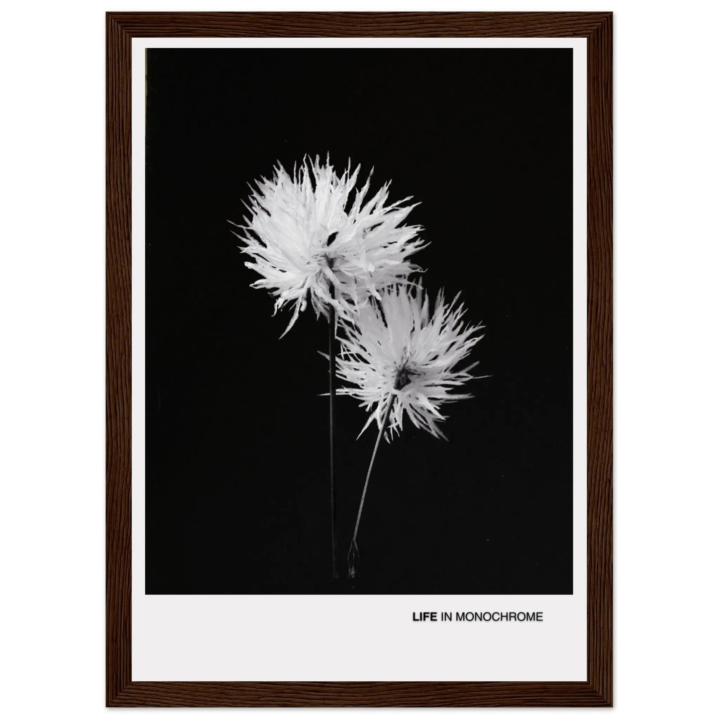 78120808-aa17-4668-9447-b6e0025a85d3