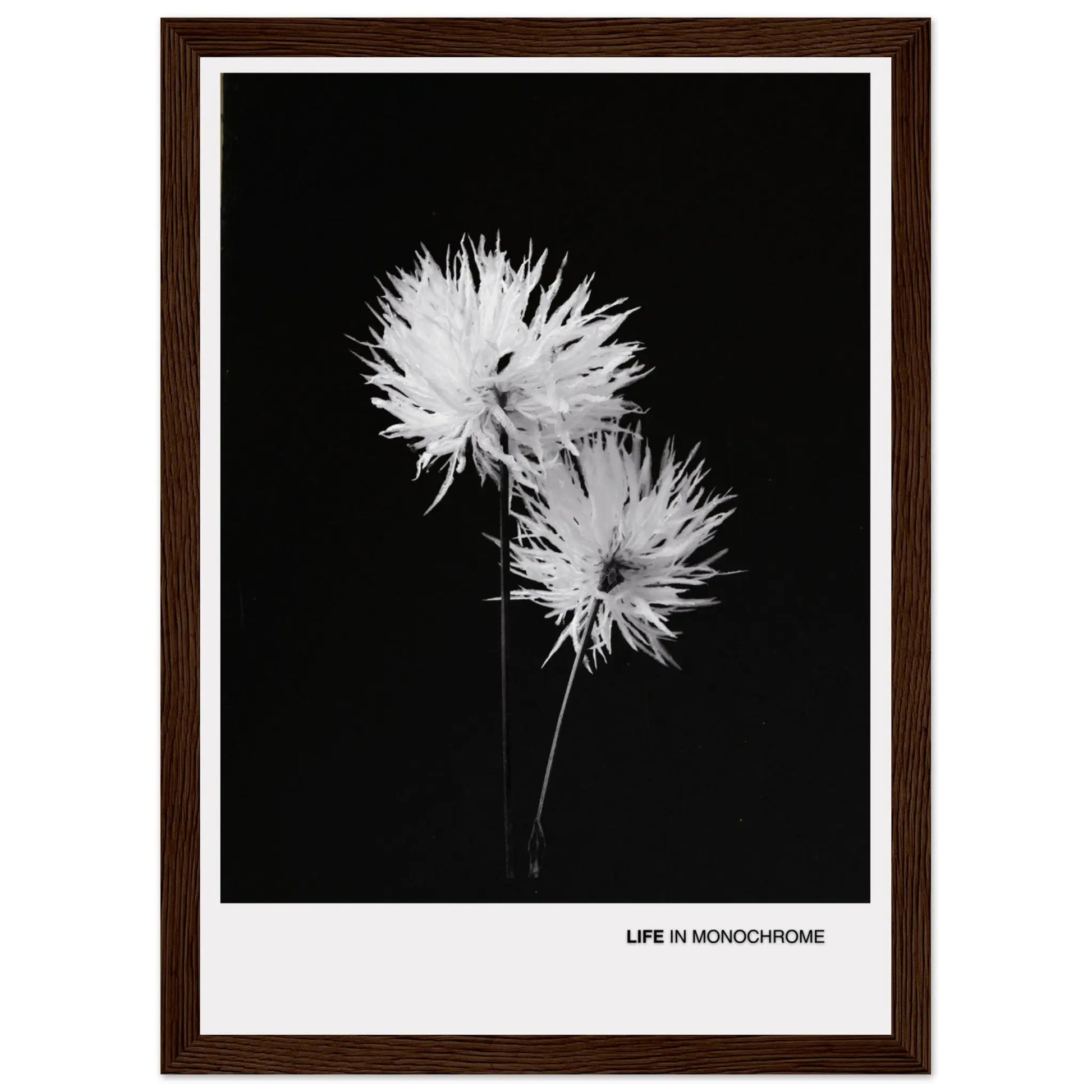 78120808-aa17-4668-9447-b6e0025a85d3