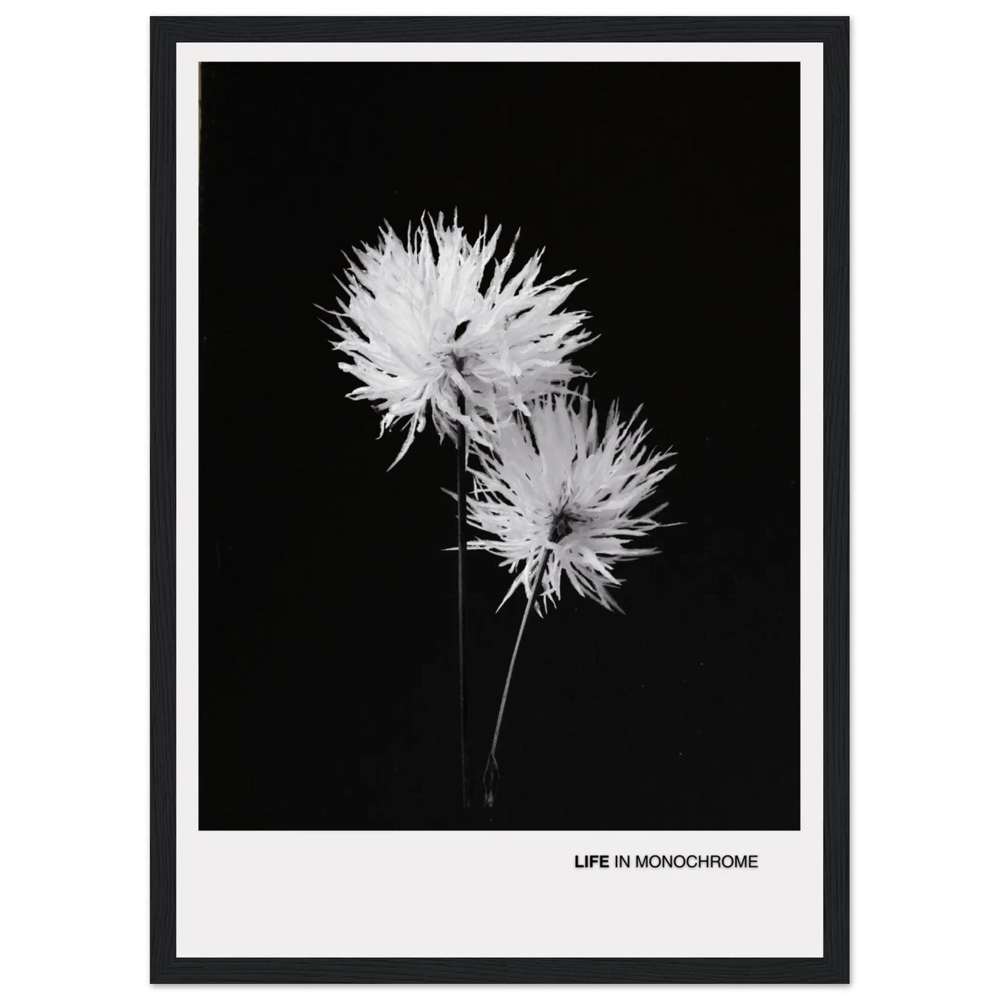 a550ba0d-da22-4626-bc67-4c40a8ddc8e6