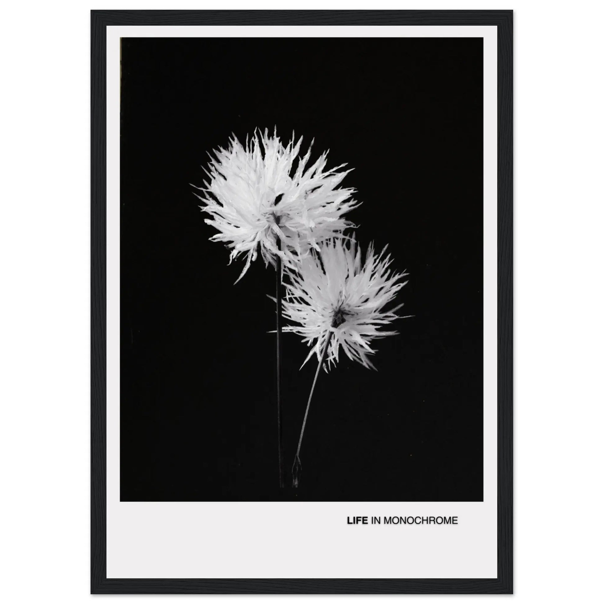 a550ba0d-da22-4626-bc67-4c40a8ddc8e6