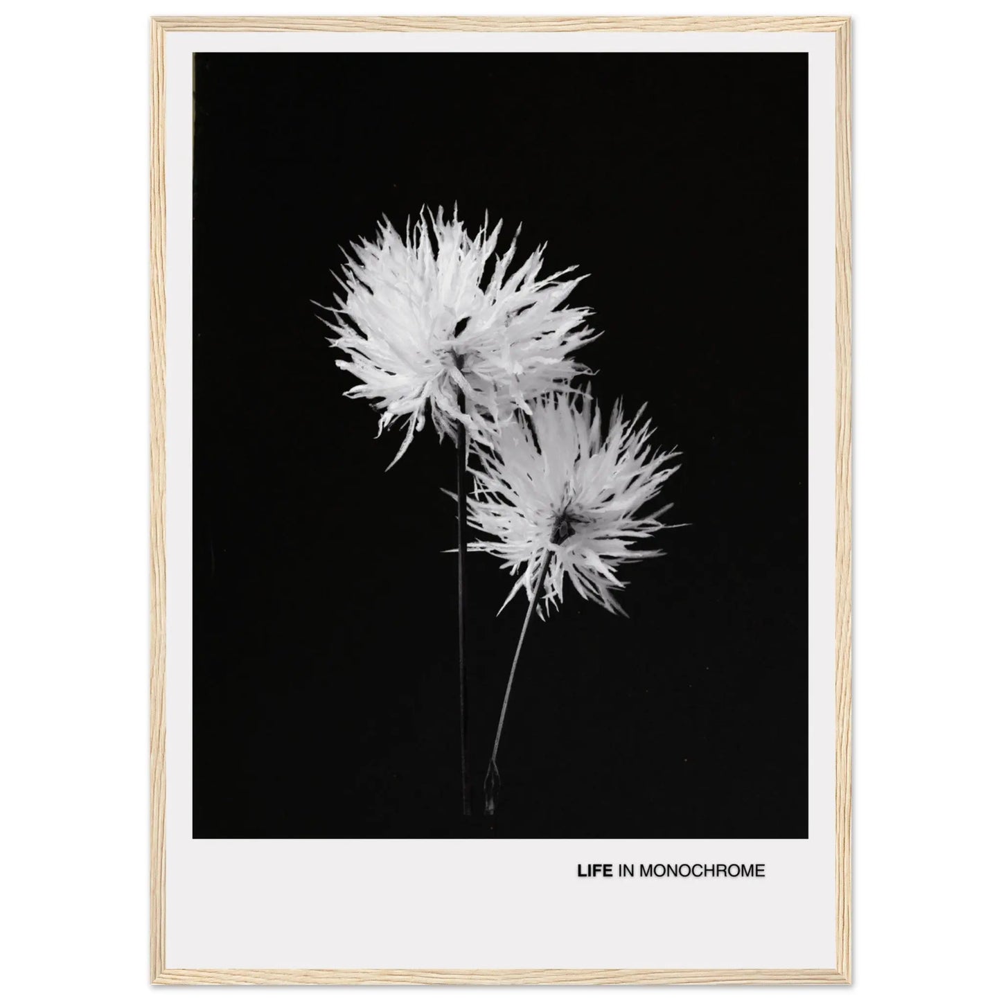 f7252bfd-a2aa-48f6-b142-cbc221ae9960