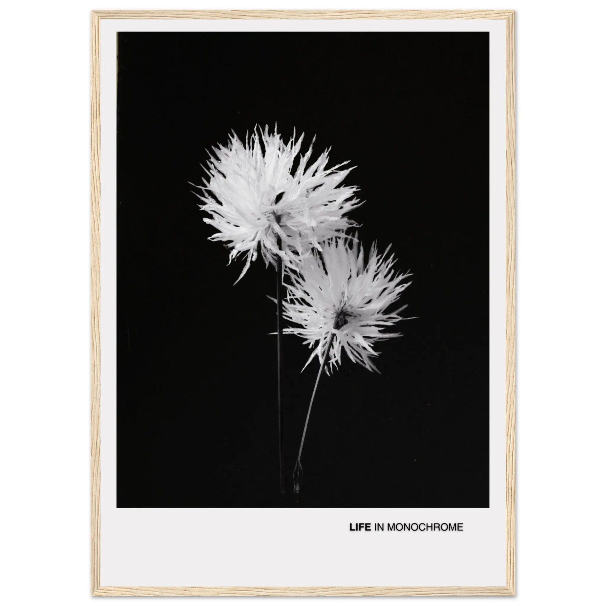 f7252bfd-a2aa-48f6-b142-cbc221ae9960