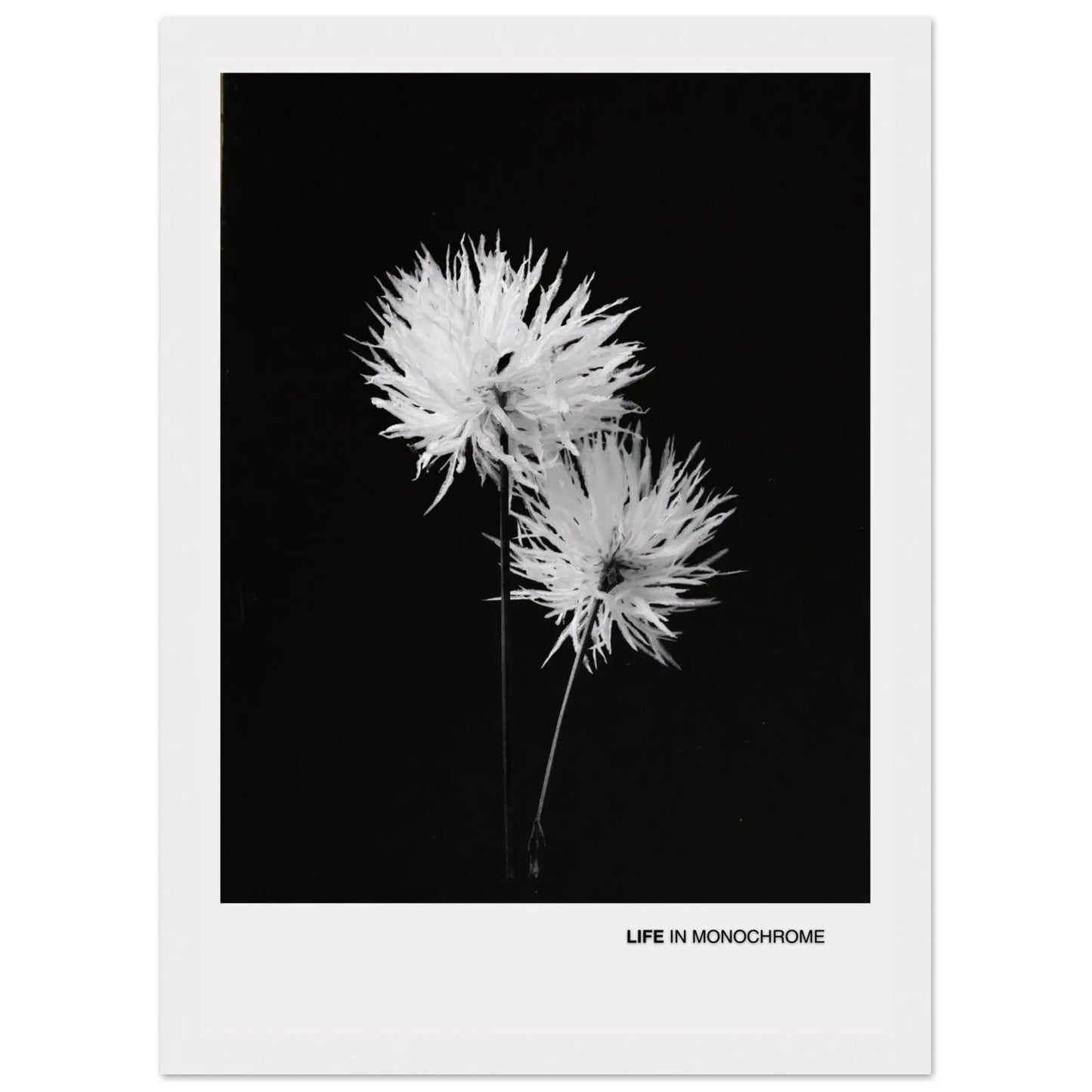 a52b85b5-e16a-4ed2-b149-255dbf4d9645