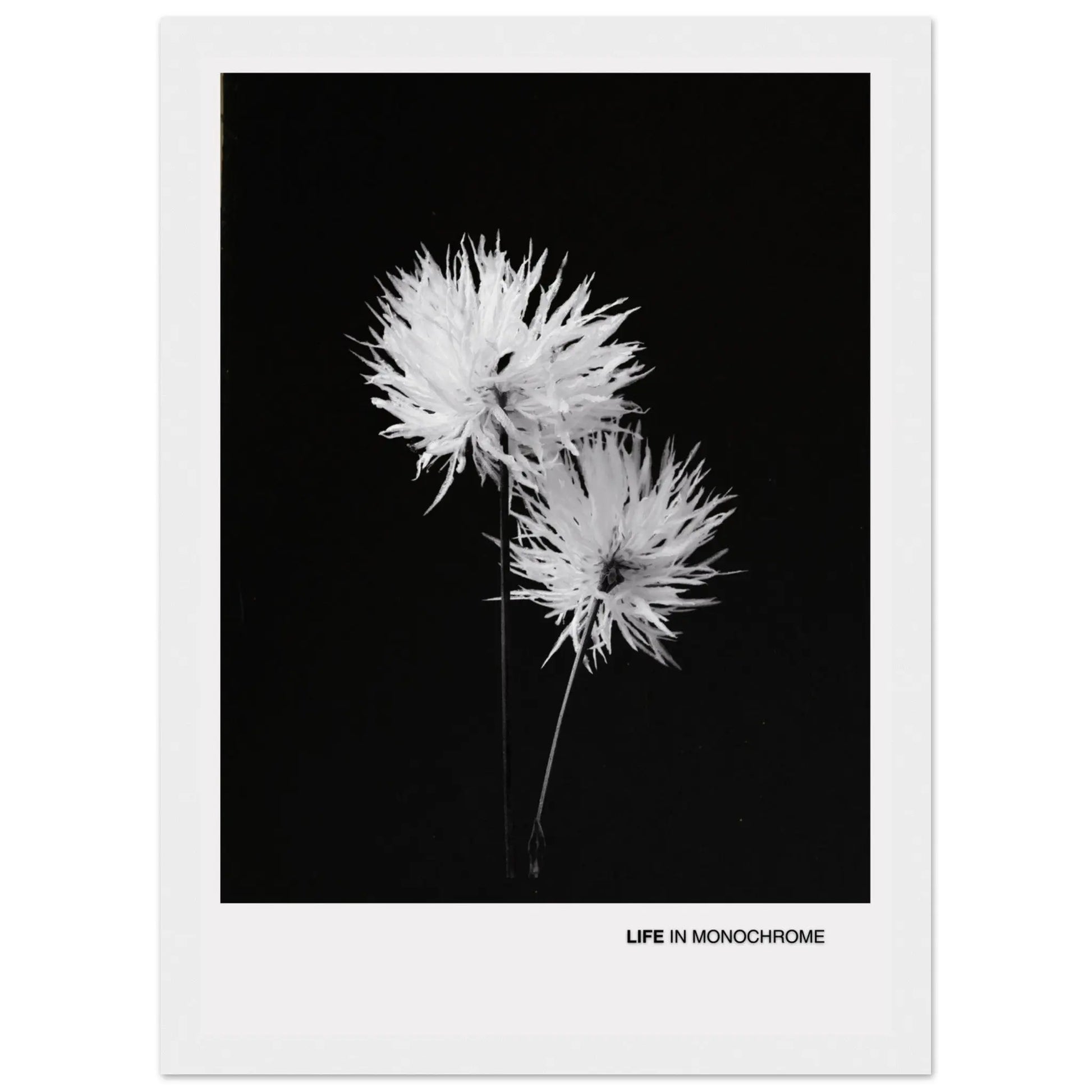 a52b85b5-e16a-4ed2-b149-255dbf4d9645