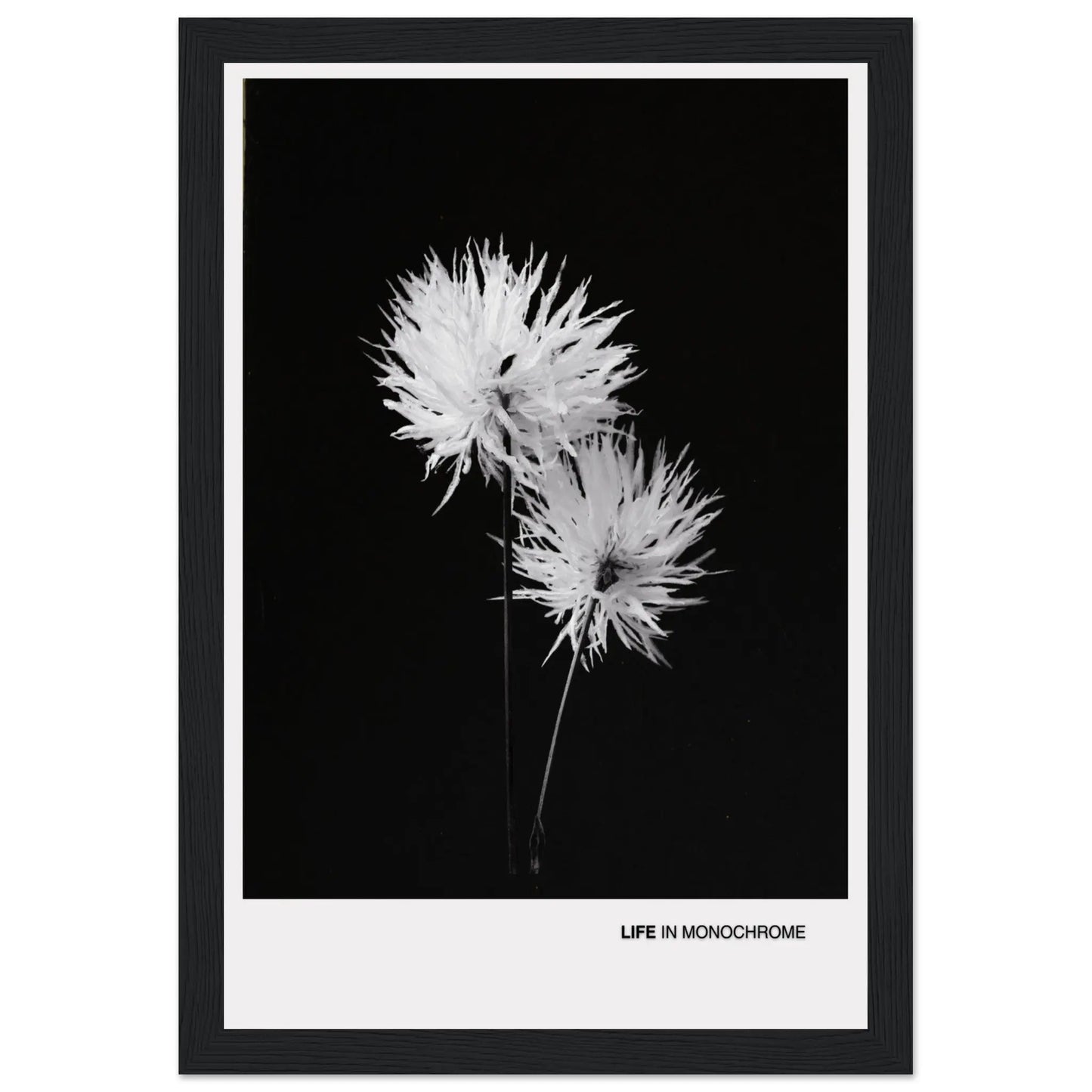 543ba3ed-7da9-4291-baa7-408fb6911431