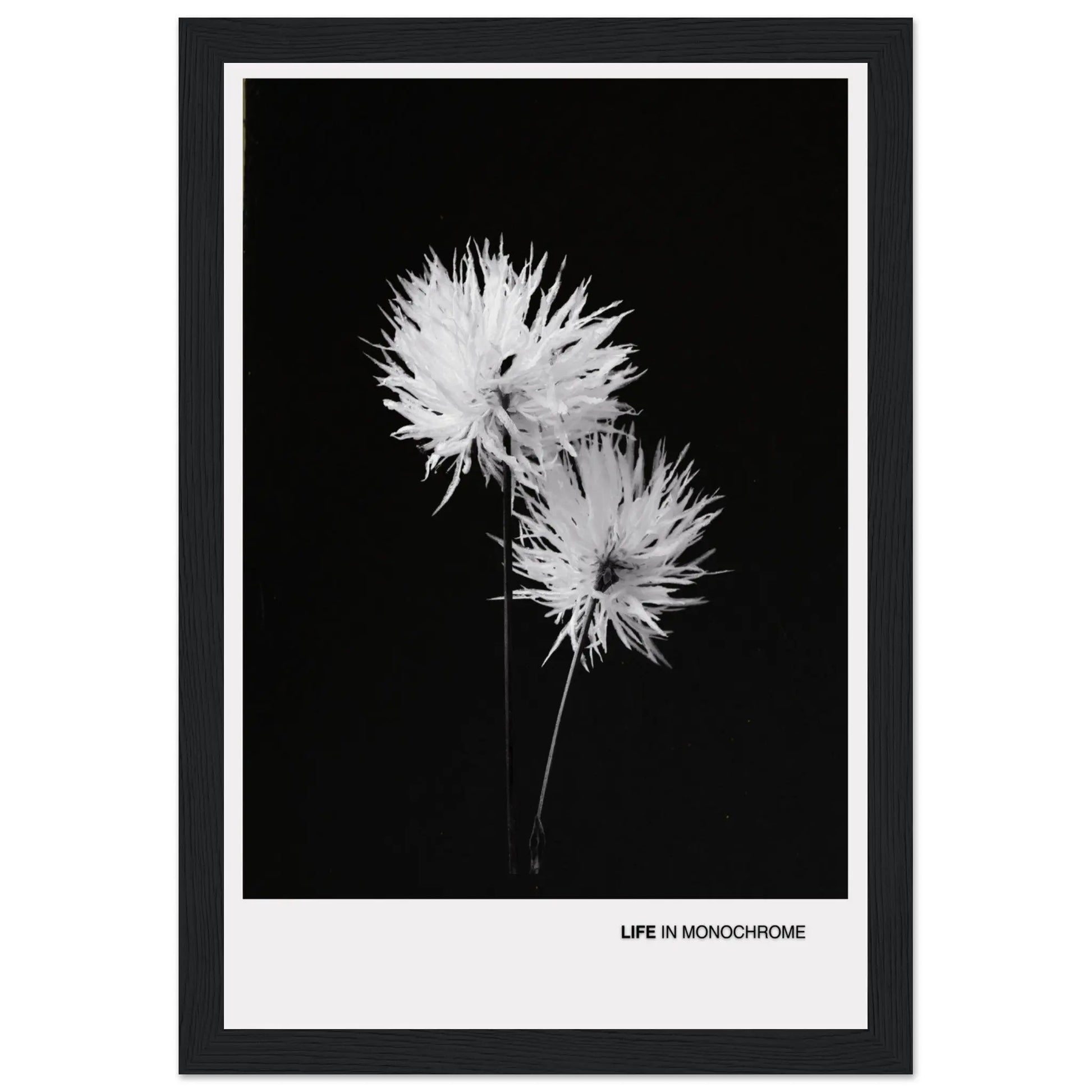 543ba3ed-7da9-4291-baa7-408fb6911431