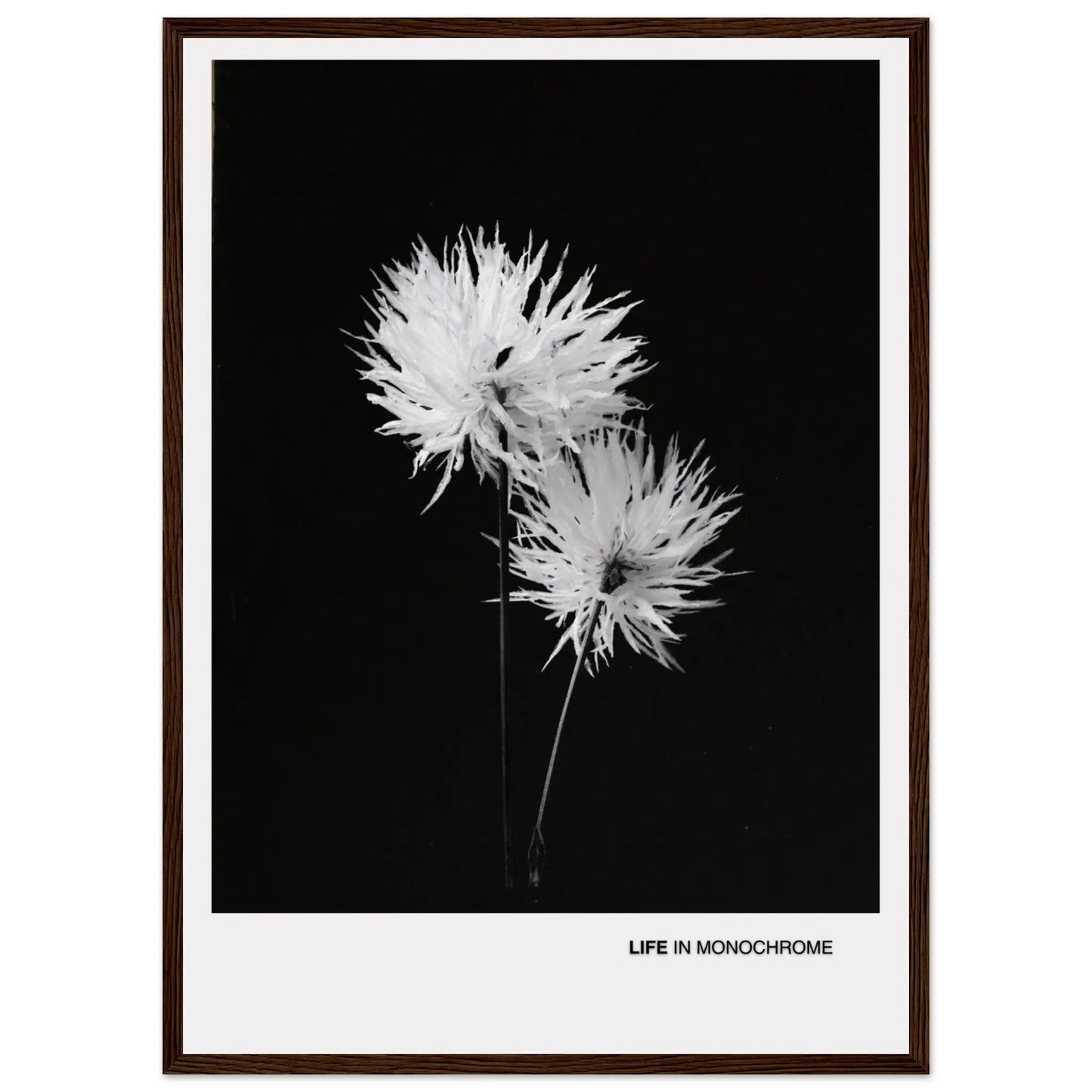 f3b567cd-07fc-4bb2-a819-ea85d52226fc