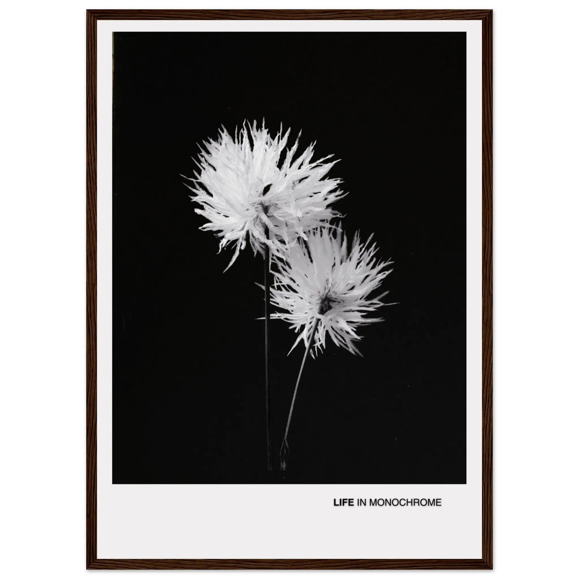 f3b567cd-07fc-4bb2-a819-ea85d52226fc