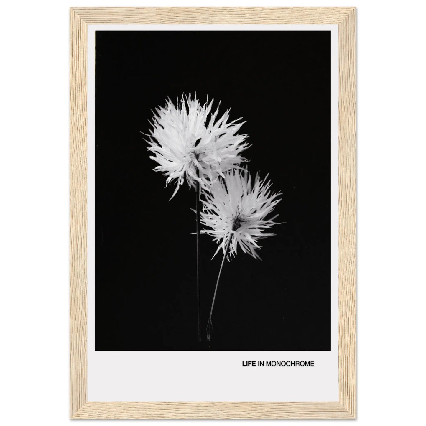 47bbedae-b17b-4740-8f5f-711dc2111fdb