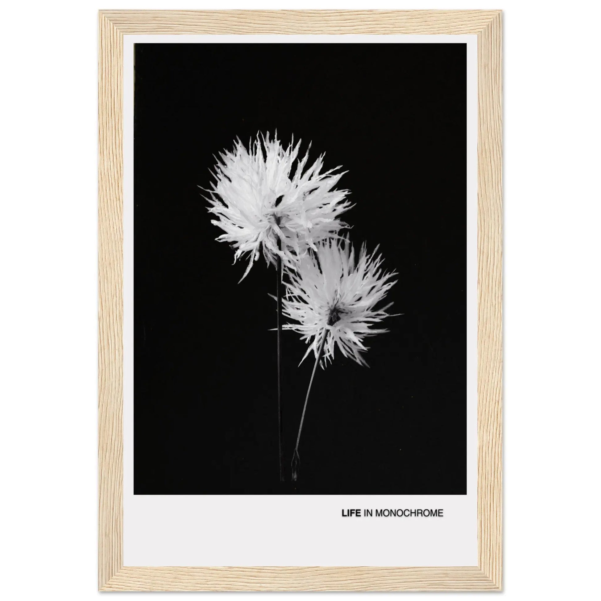 47bbedae-b17b-4740-8f5f-711dc2111fdb