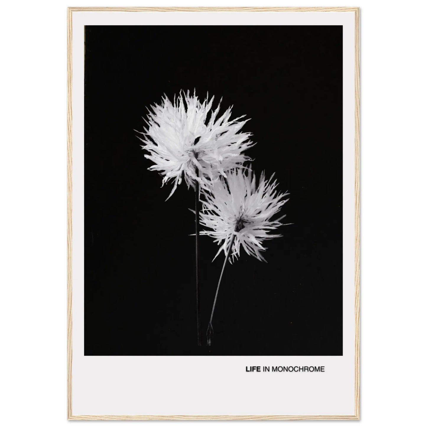 df54e1f2-d131-40d4-971c-91e2a82680e2