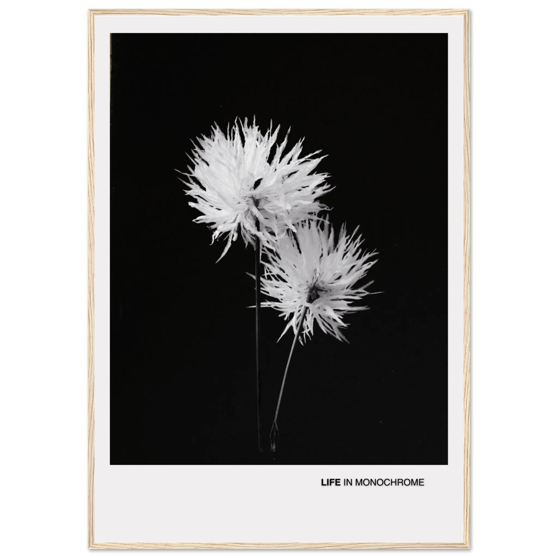 df54e1f2-d131-40d4-971c-91e2a82680e2