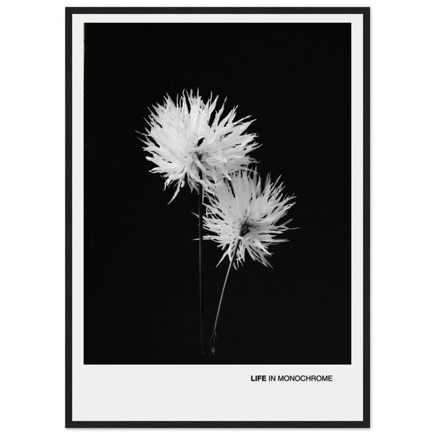 87274ce0-f6af-4b07-8f35-71c9217f84a8