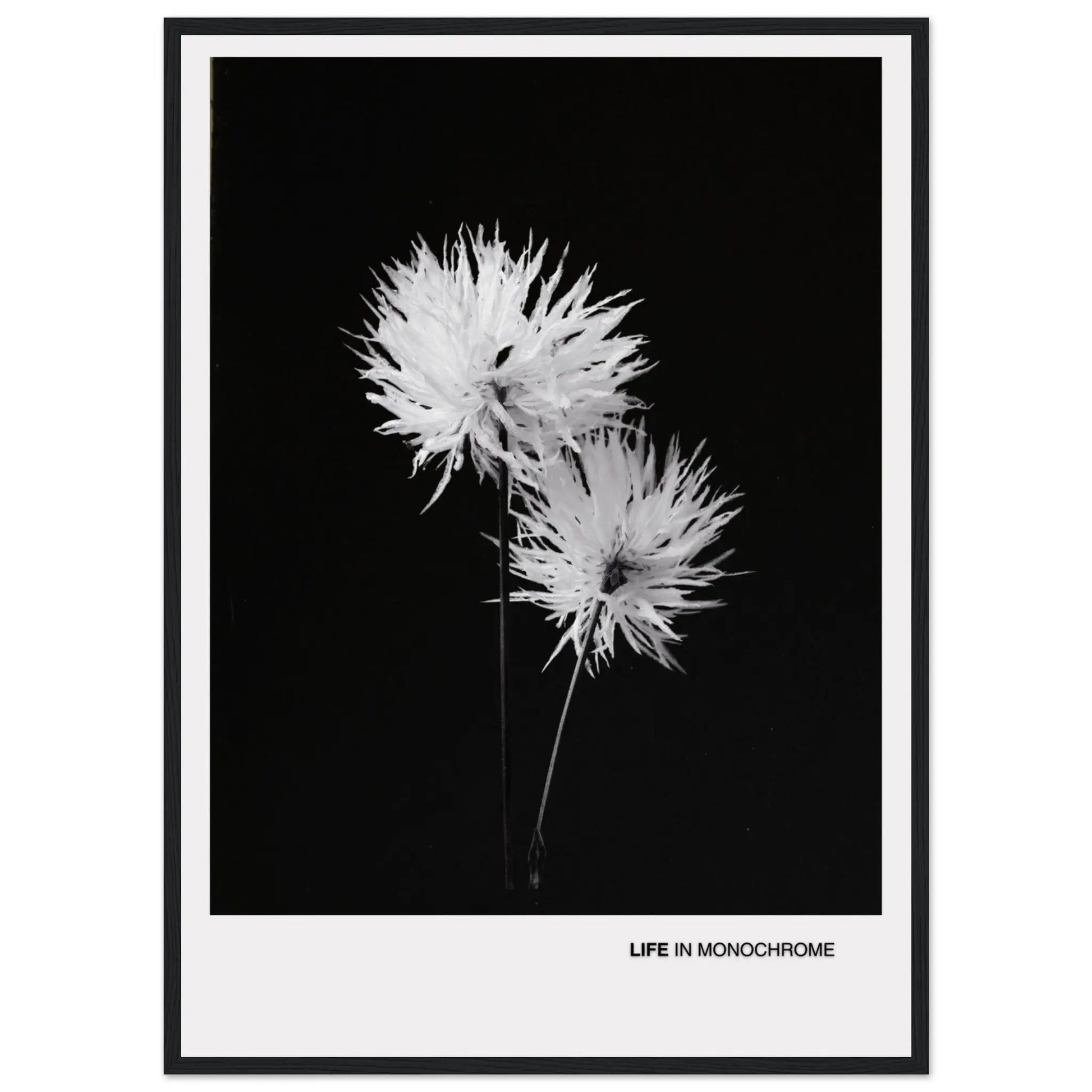 87274ce0-f6af-4b07-8f35-71c9217f84a8