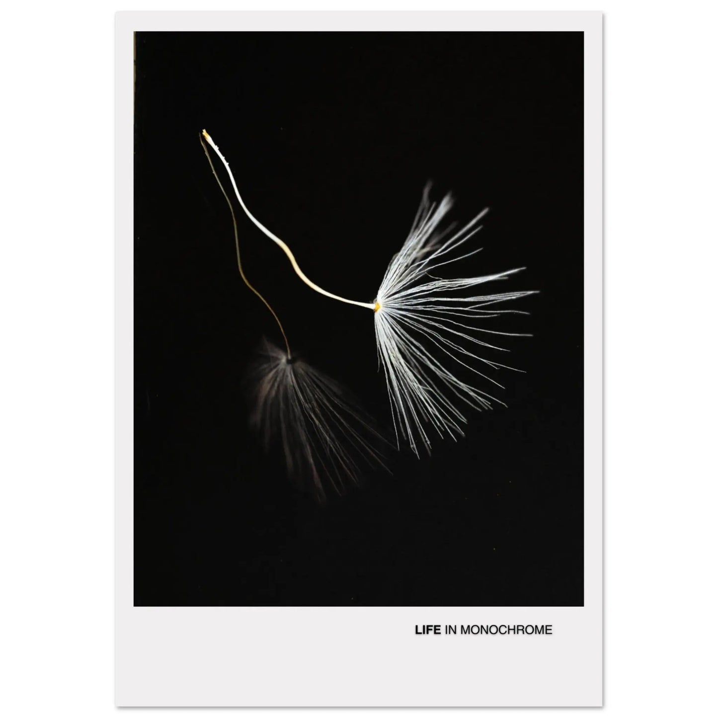 1e295175-dbdf-465c-9be3-671cd683d7ae